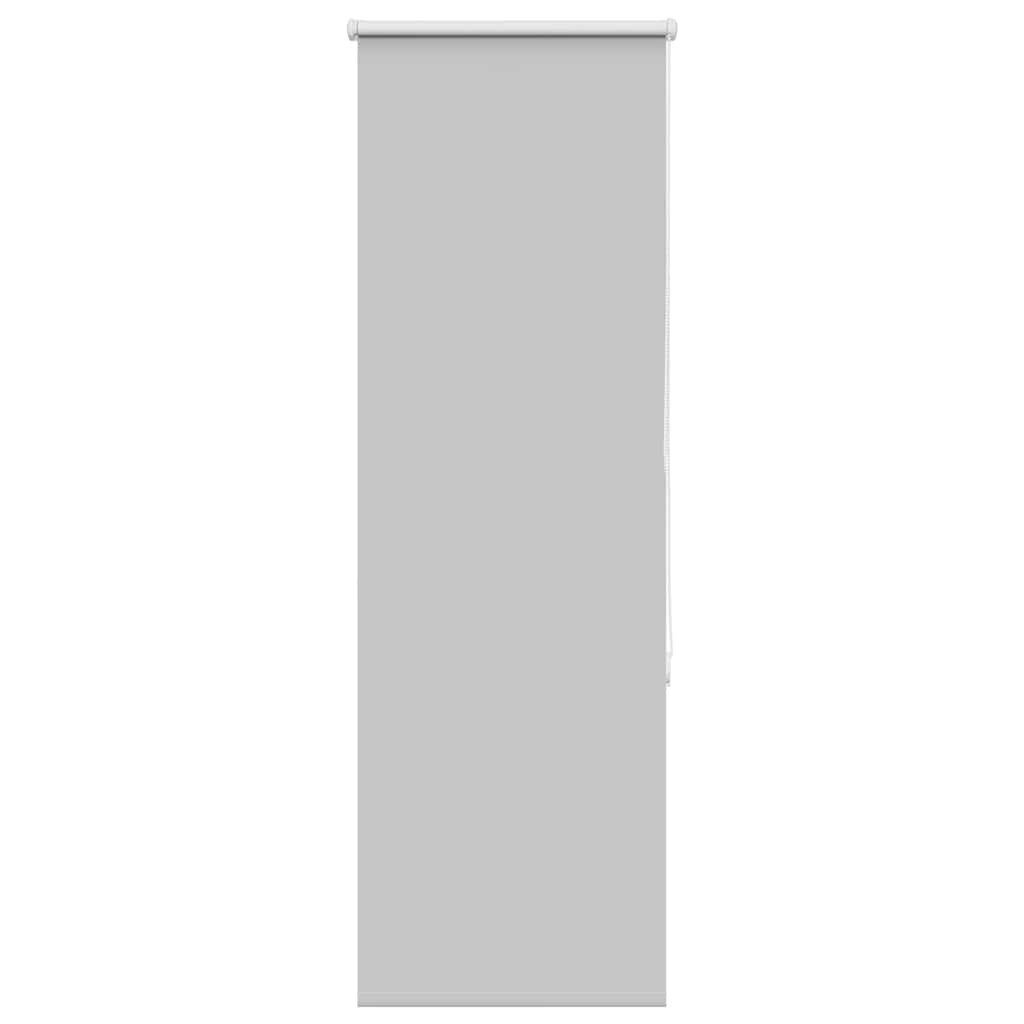 Rollo Verdunkelungsrollo Hellgrau 40x150cm Stoffbreite 35,7cm, vidaXL