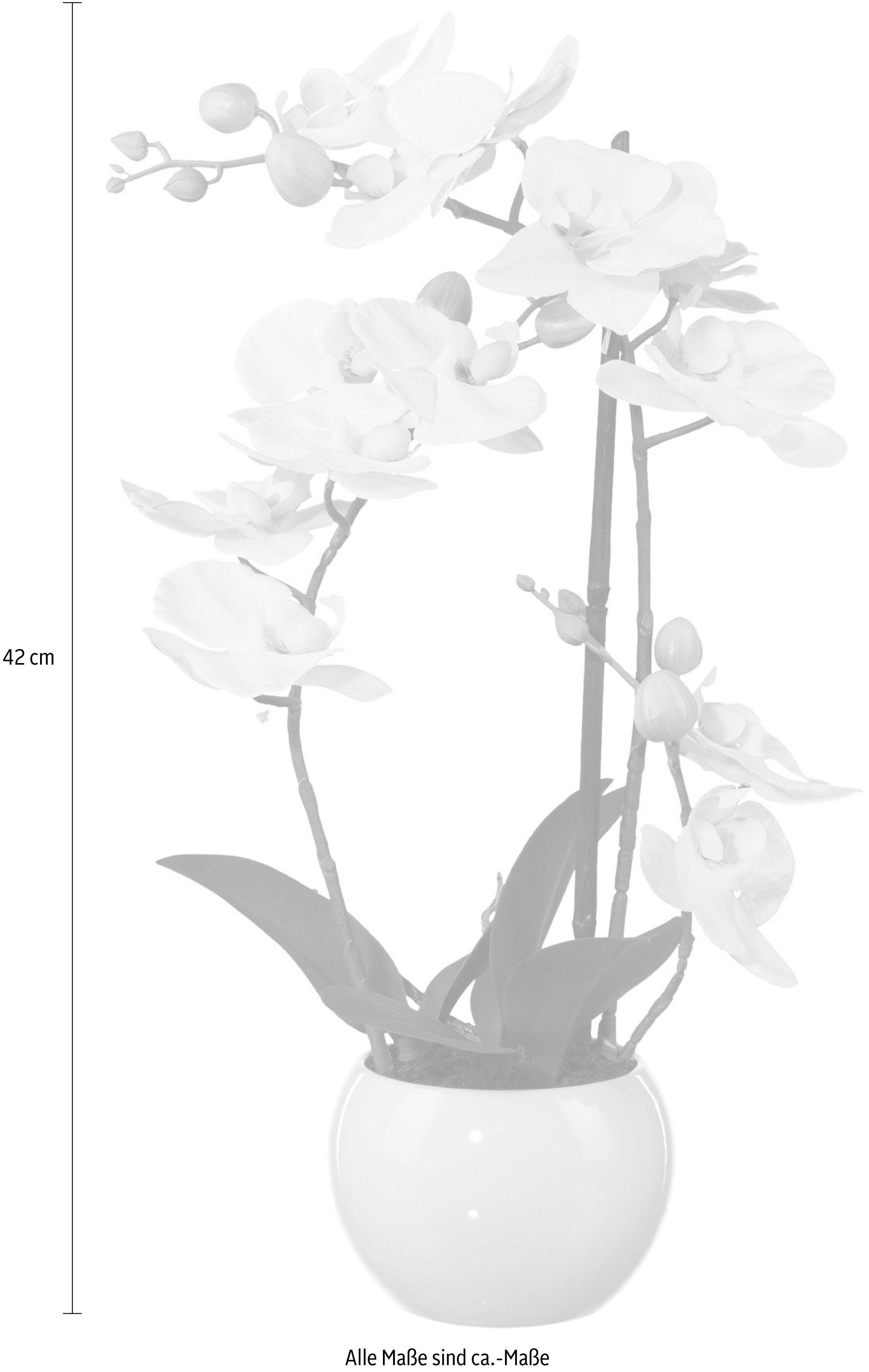 Kunstpflanze Phalaenopsis Orchidee, Creativ green, Höhe 42 cm günstig online kaufen