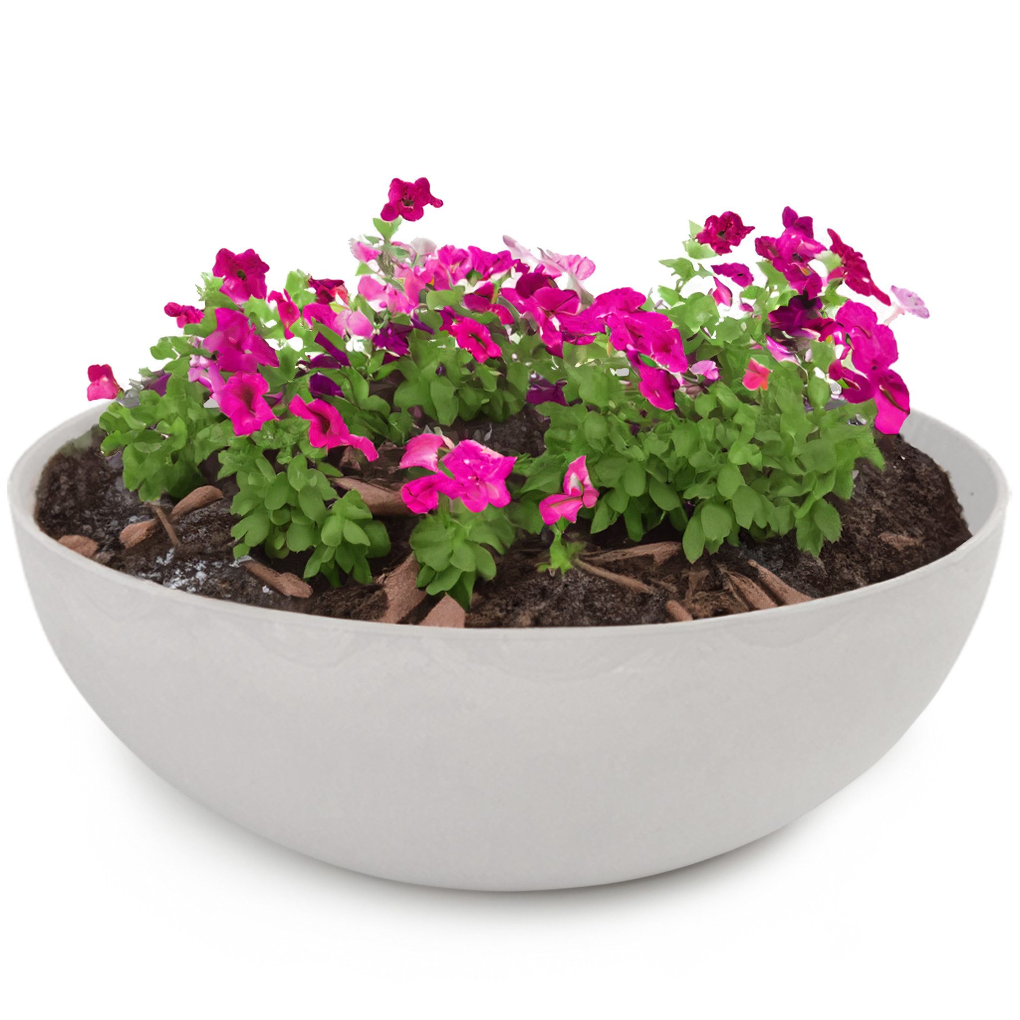 matches21 HOME & HOBBY Blumentopf Runde günstig online kaufen