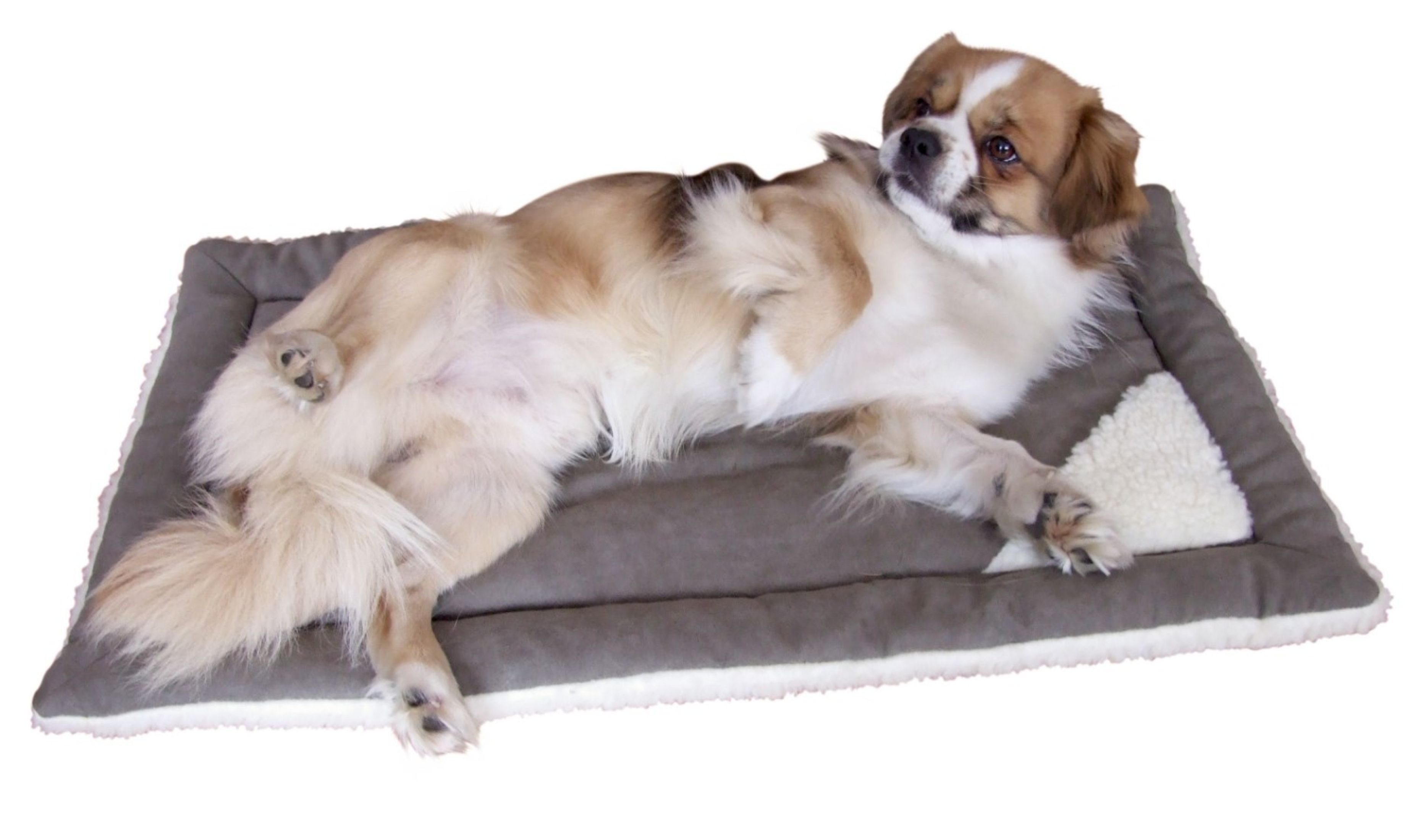 Kerbl Tierbett Kerbl Liegekissen Cleo Hunde und Katzen 36x22x3cm 82421