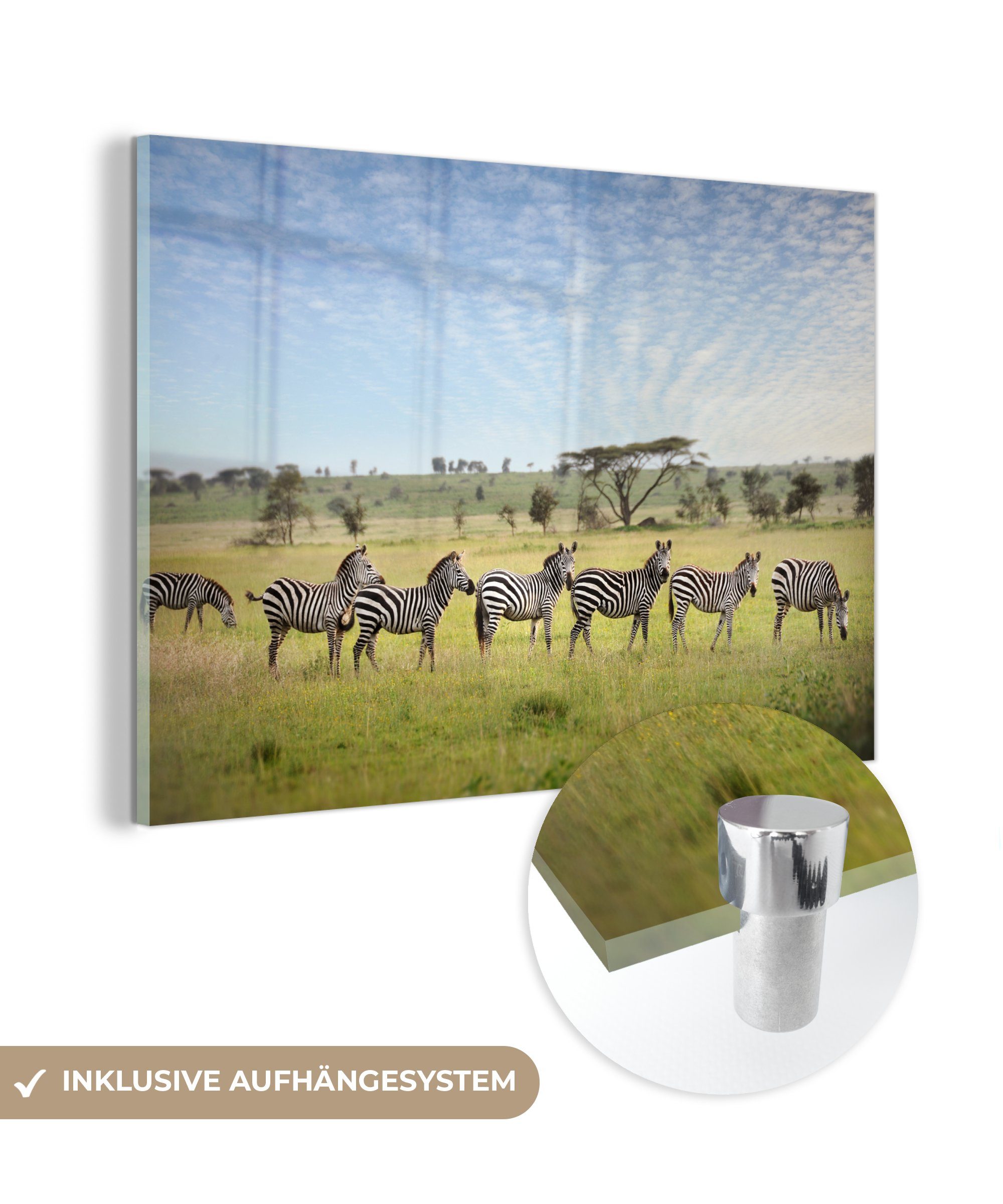 MuchoWow Acrylglasbild Eine Reihe von Zebras spaziert durch die Savanne des, (1 St), Acrylglasbilder Wohnzimmer & Schlafzimmer
