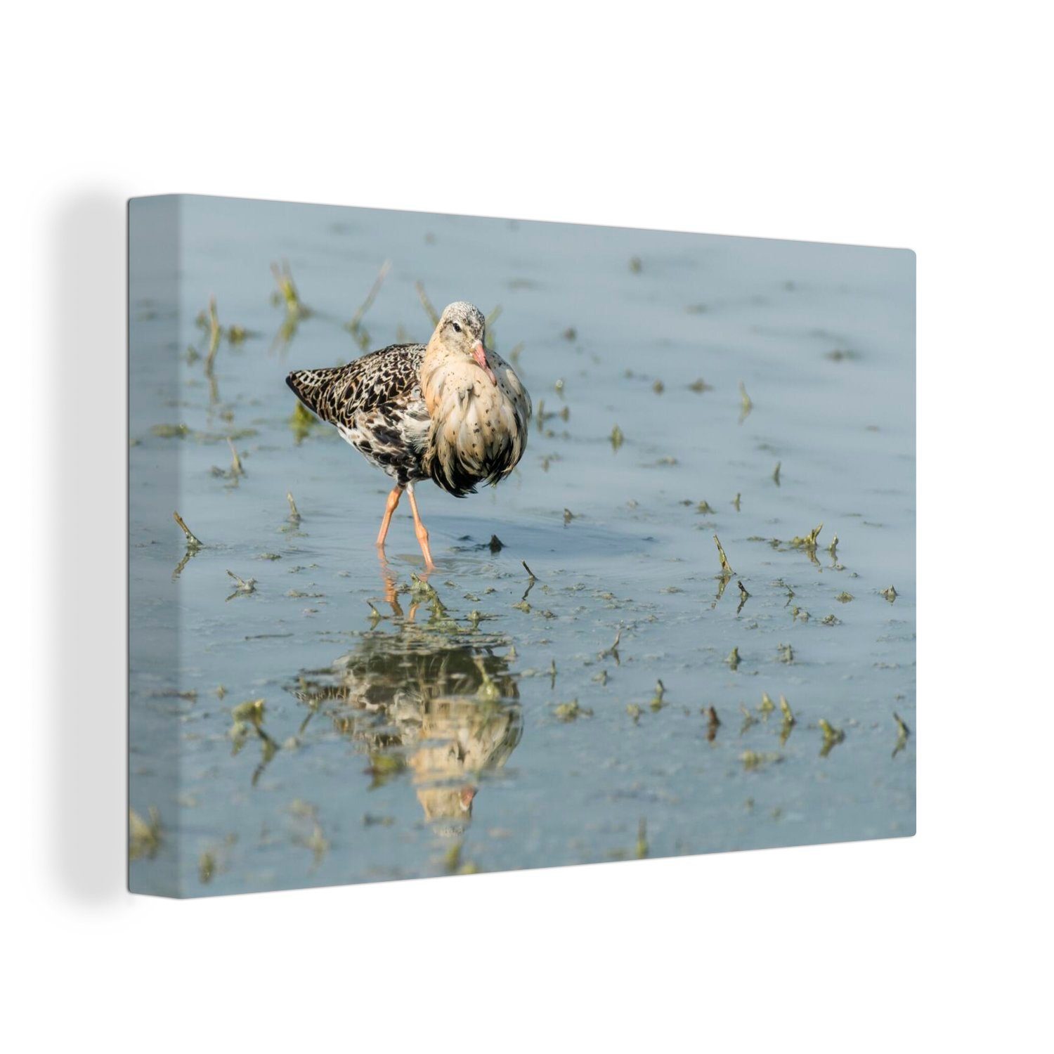 OneMillionCanvasses® Leinwandbild Ruffian Leinwandbilder, Wanddeko, Neusiedler See-Seewinkel, St), des Nationalparks (1 im 30x20 Wandbild Aufhängefertig, Wasser cm