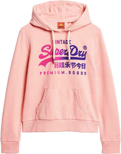 Superdry Kapuzensweatshirt TONAL VL GRAPHIC HOODIE