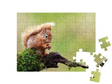 puzzleYOU Puzzle Rotes Eichhörnchen, 48 Puzzleteile, puzzleYOU-Kollektionen Eichhörnchen, Tiere in Wald & Gebirge