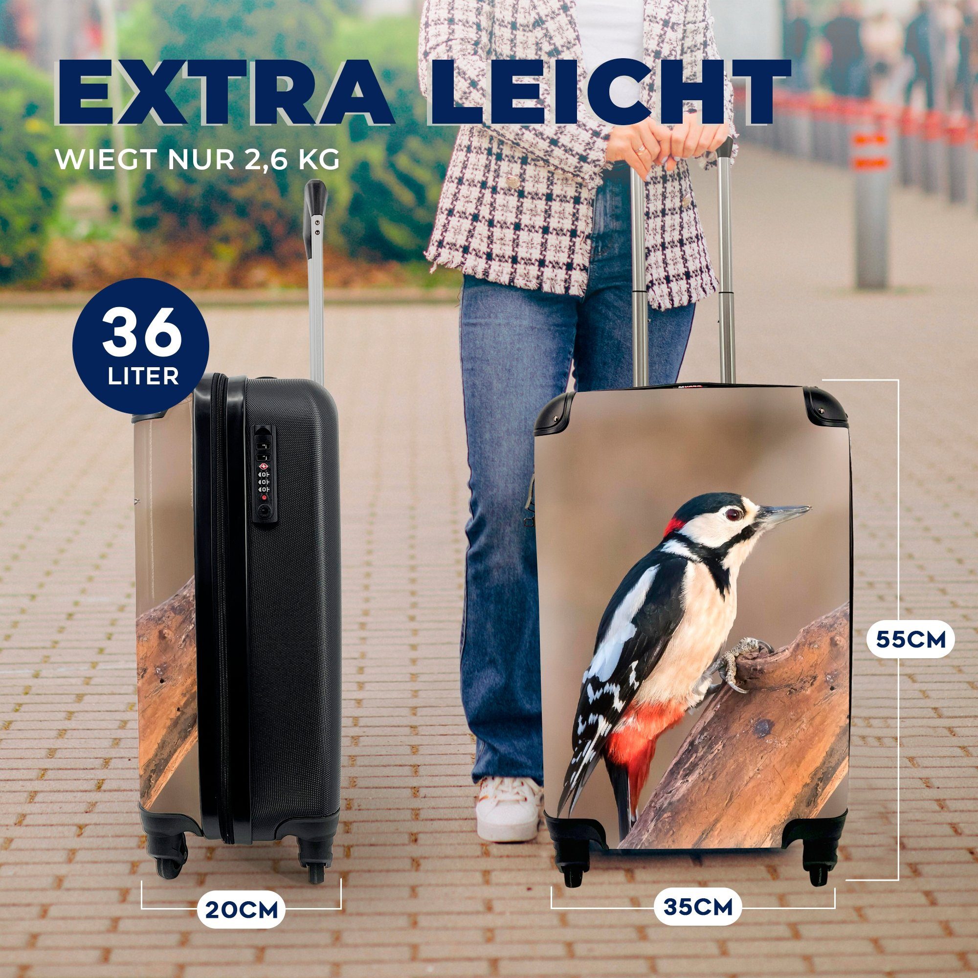 MuchoWow Handgepäckkoffer Ein Buntspecht Rollen, Reisekoffer bei Sonnenuntergang, rollen, 4 Ferien, Reisetasche Trolley, mit Handgepäck für