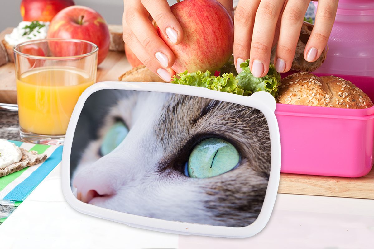 Licht (2-tlg), Kunststoff - rosa für Brotdose Erwachsene, Katze Lunchbox - Kunststoff, Snackbox, MuchoWow Mädchen, Augen, Kinder, Brotbox