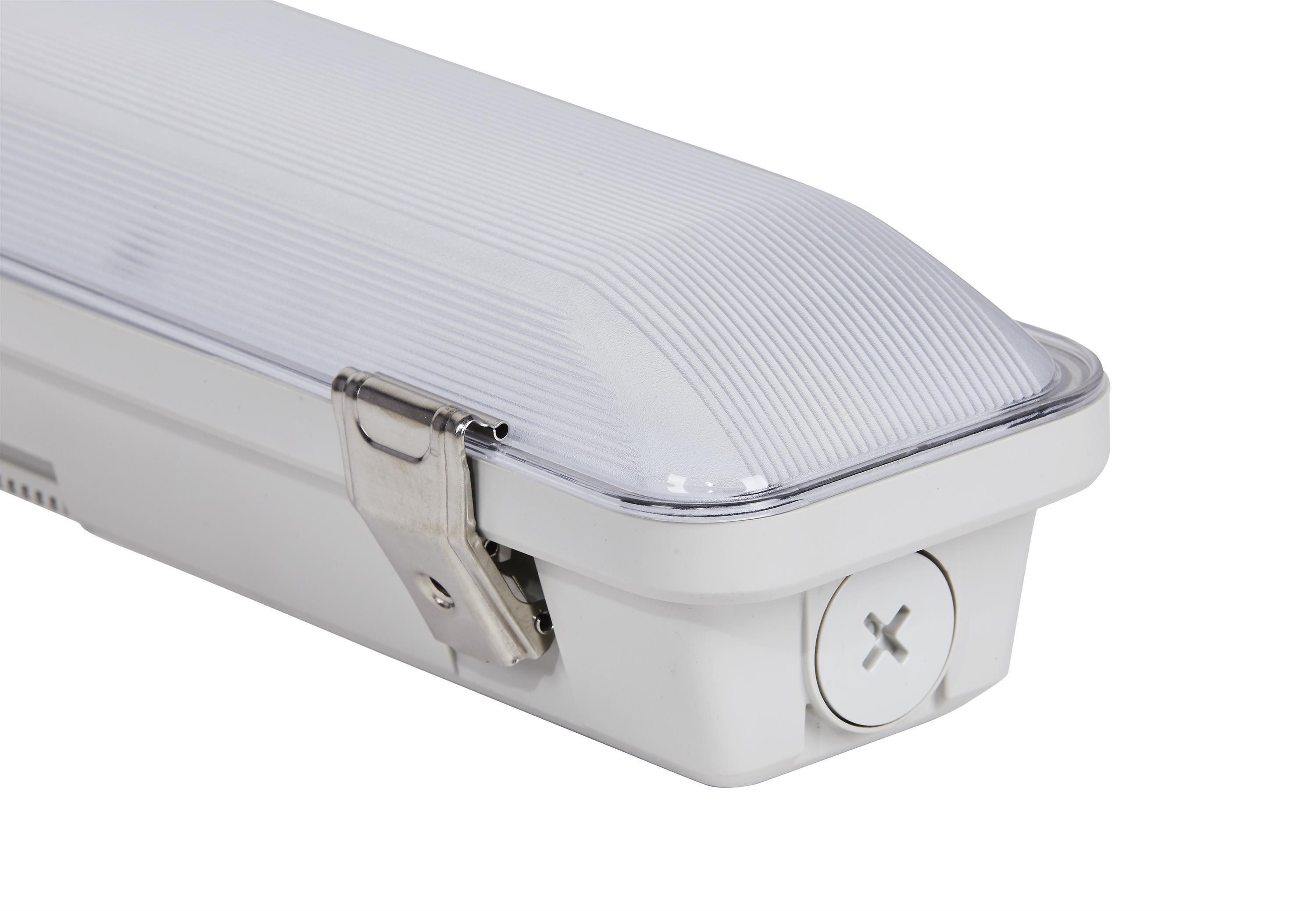 DOTLUX Smarte LED-Leuchte DOTLUX LED-Feuchtraumleuchte MISTRAL IP66 1540mm 27W 4000K gefrostet