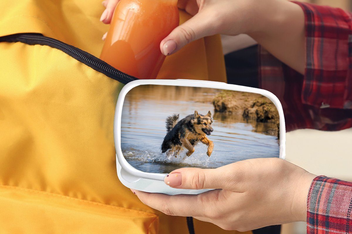 Deutscher im Kunststoff, und MuchoWow Erwachsene, für Jungs Schäferhund weiß Kinder Lunchbox und für Brotdose, Ein (2-tlg), spielt Mädchen Brotbox Wasser,