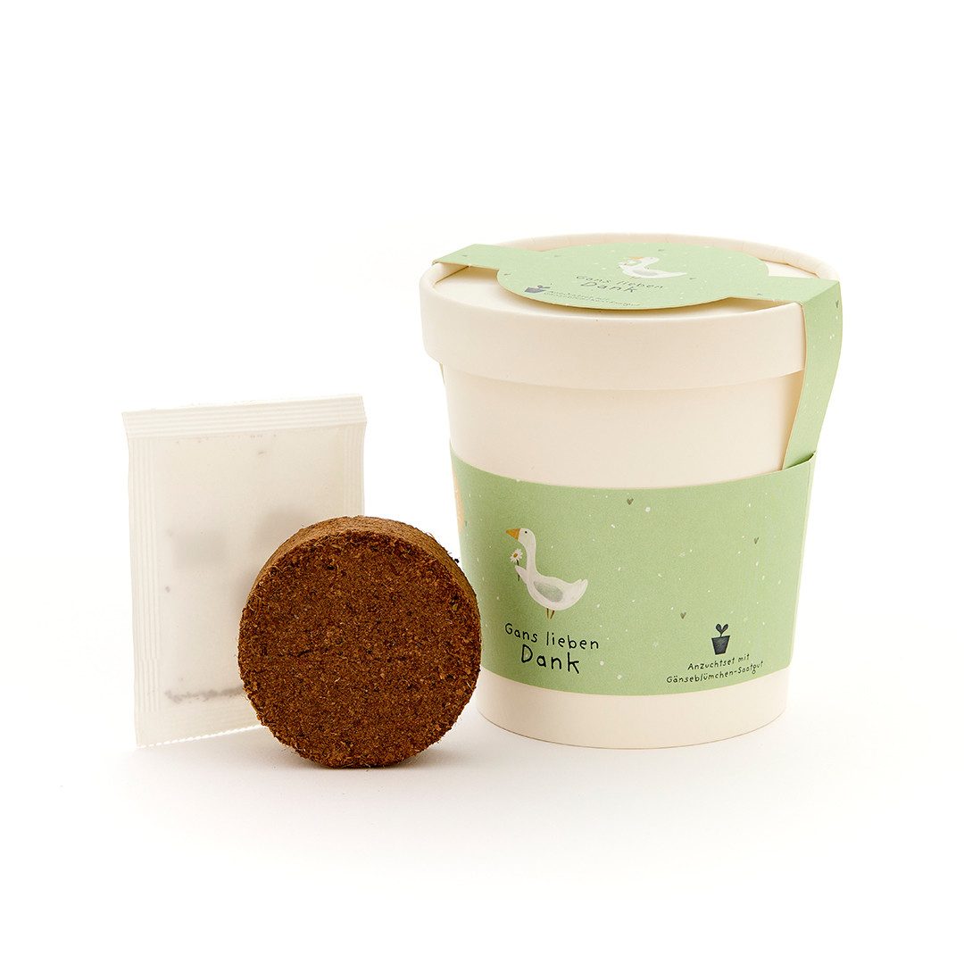 Die Stadtgärtner Anzuchttopf Gänseblümchen-Anzuchtset als Dankeschön-Geschenk, Geschenkidee (1 St)