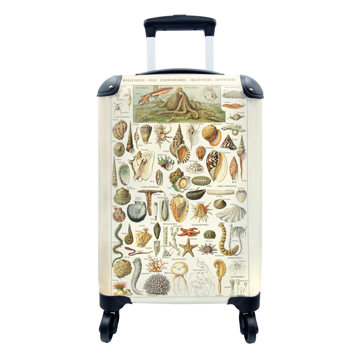 MuchoWow Handgepäckkoffer Muscheln - Tiere - Meer, 4 Rollen, Reisetasche mit rollen, Handgepäck für Ferien, Trolley, Reisekoffer