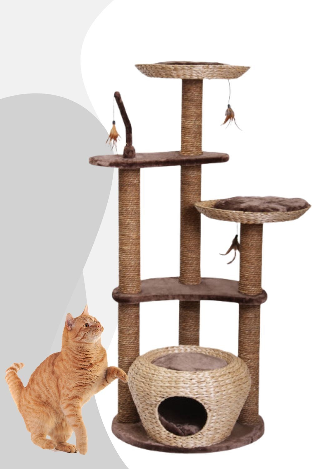 Nobby Kratzbaum Kratzbaum ESTACA (Höhe 141 cm)