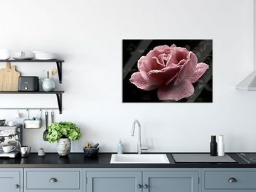 Pixxprint Glasbild zarte rosafarbene Rosenblüte, zarte rosafarbene Rosenblüte (1 St), Glasbild aus Echtglas, inkl. Aufhängungen und Abstandshalter