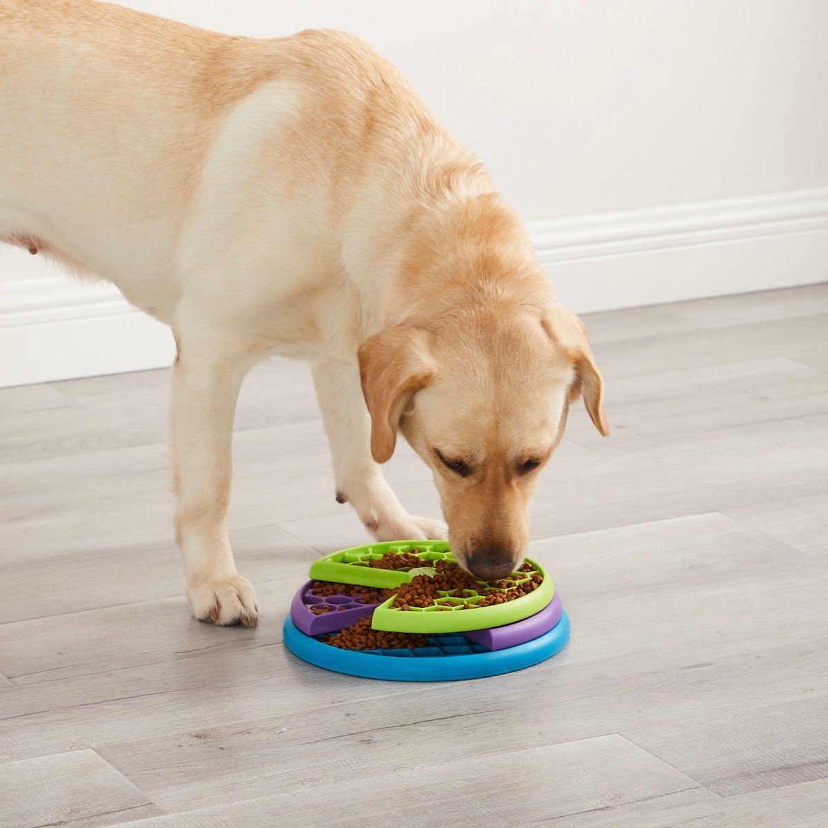 Nina Ottosson Tier-Intelligenzspielzeug Hundespielzeug Lickin' Layers günstig online kaufen