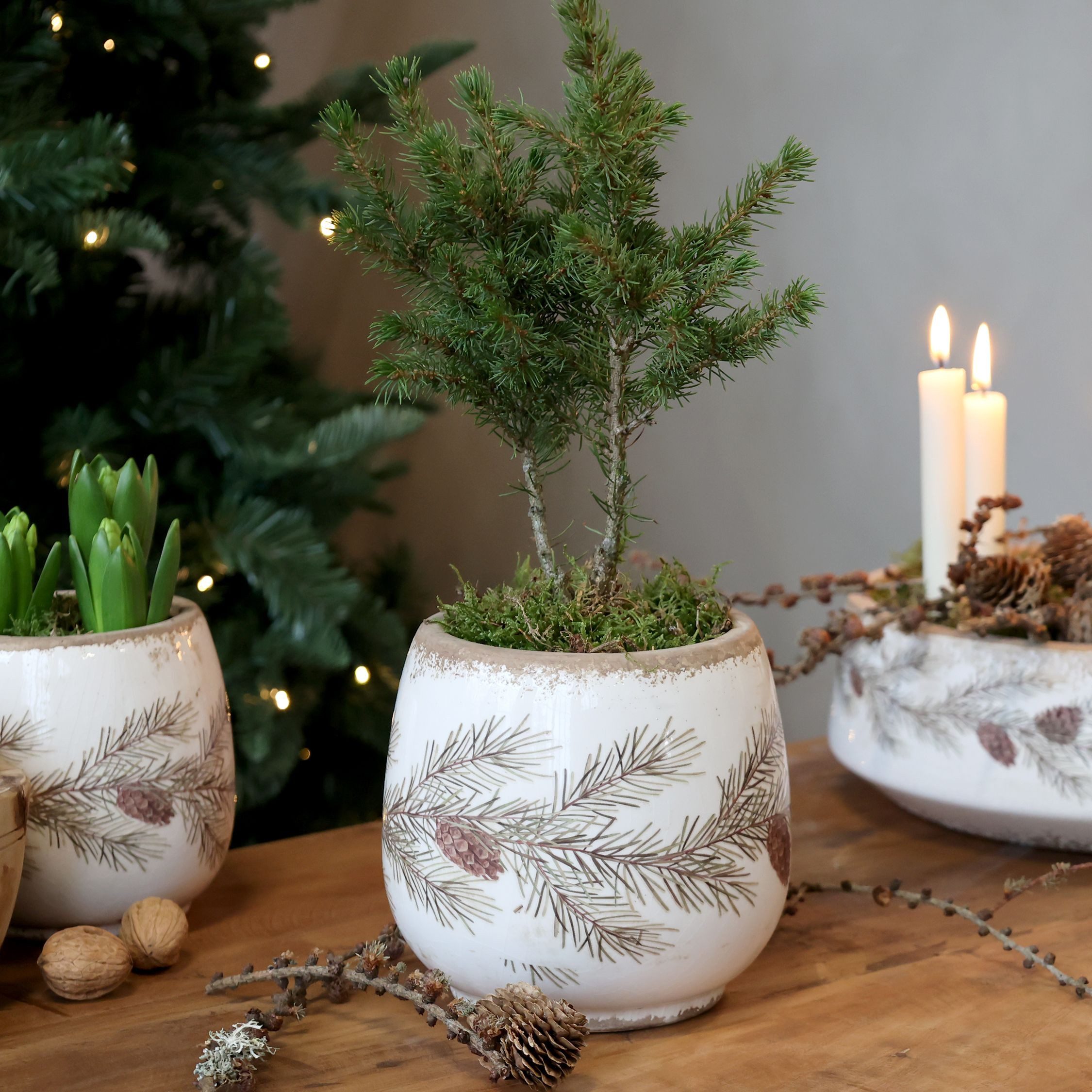 Chic Antique Übertopf Übertopf mit Tannengirlanden H16,5/D17,5 cm creme Her günstig online kaufen