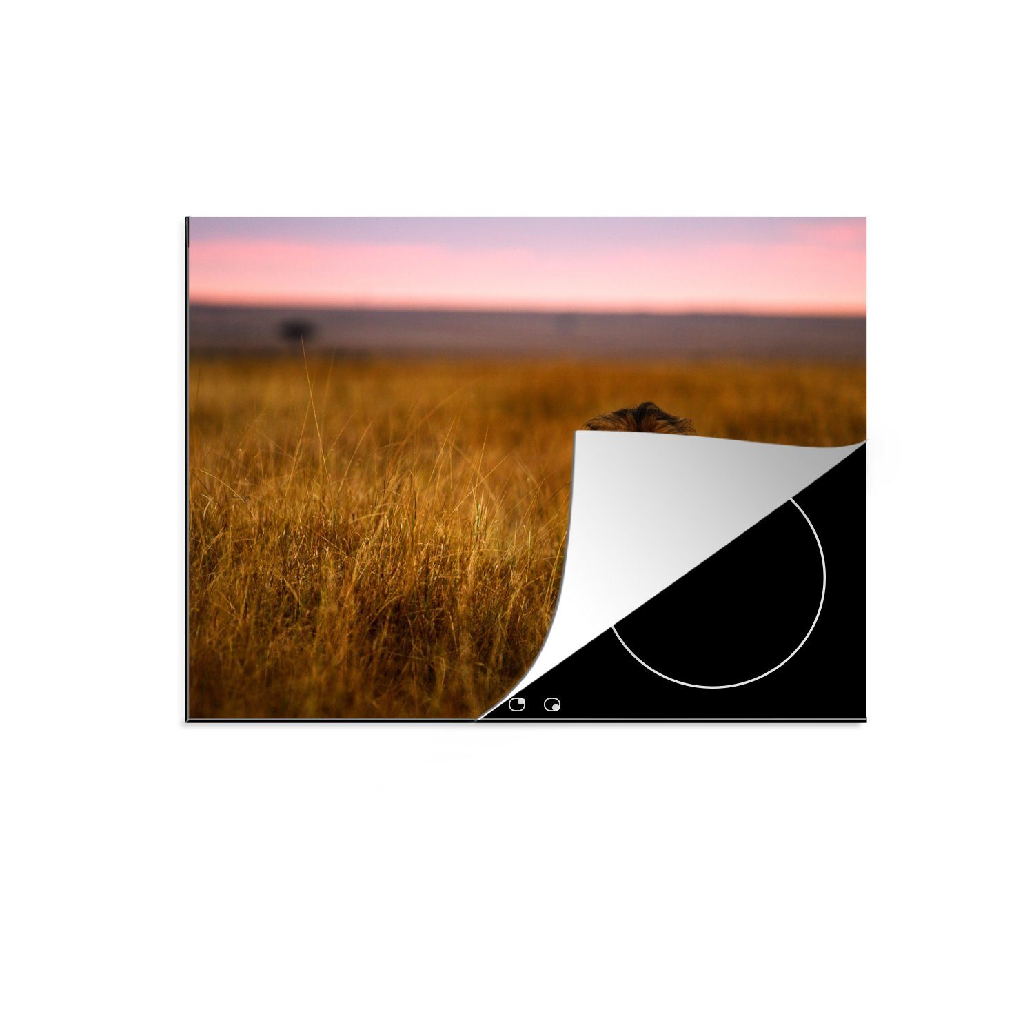 MuchoWow Herdblende-/Abdeckplatte Löwe - Savanne - Gras, Vinyl, (1 tlg), 71x52 cm, Induktionskochfeld Schutz für die küche, Ceranfeldabdeckung