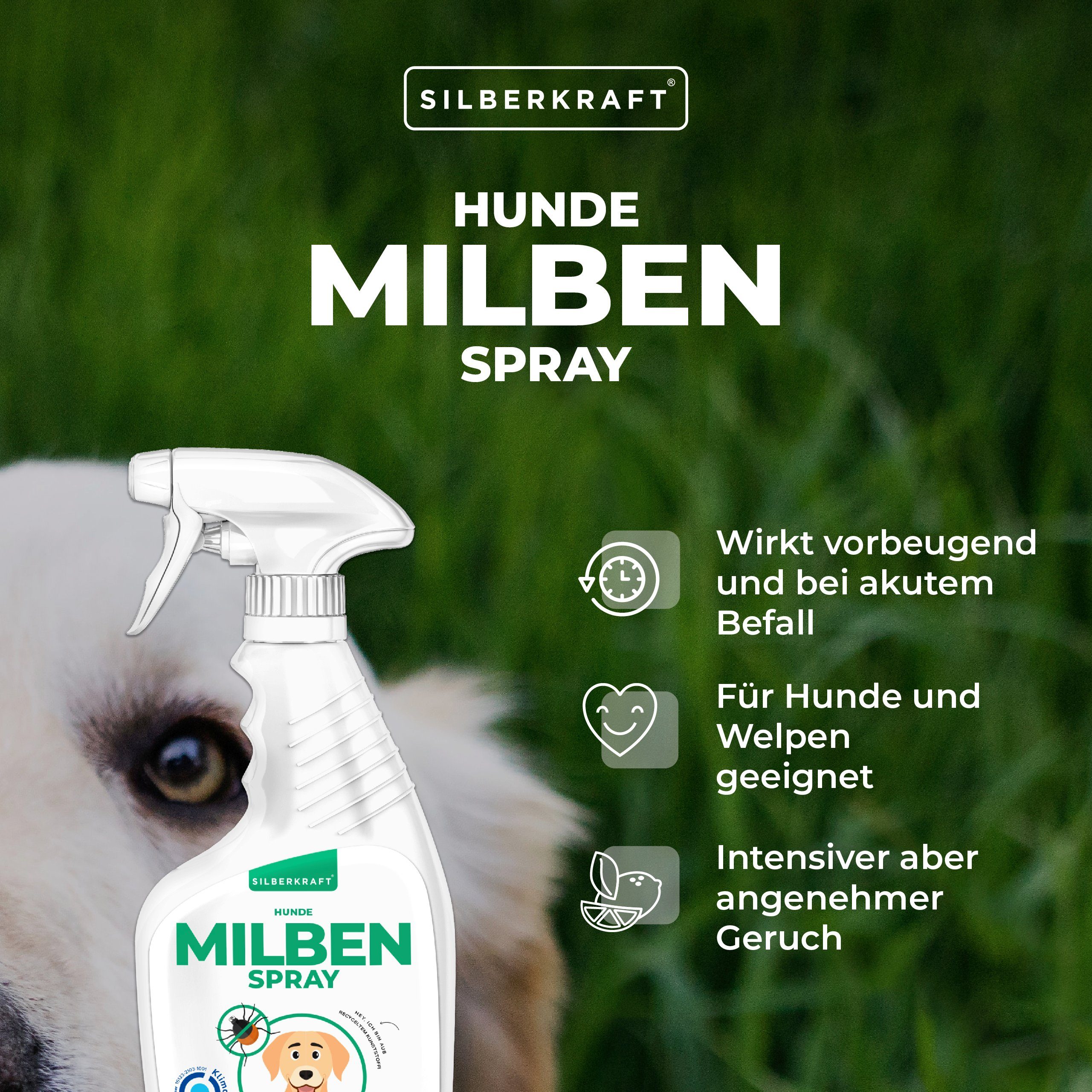 Silberkraft Insektenspray Milbenspray für Hunde, 500 ml, 1-St.