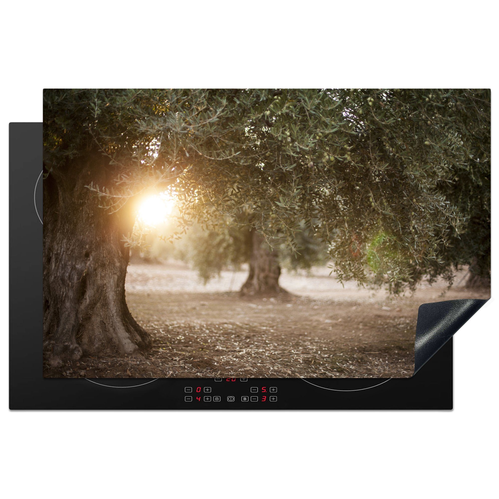 MuchoWow Herdblende-/Abdeckplatte Olivenbäume in Andalusien, Vinyl, (1 tlg), 81x52 cm, Induktionskochfeld Schutz für die küche, Ceranfeldabdeckung