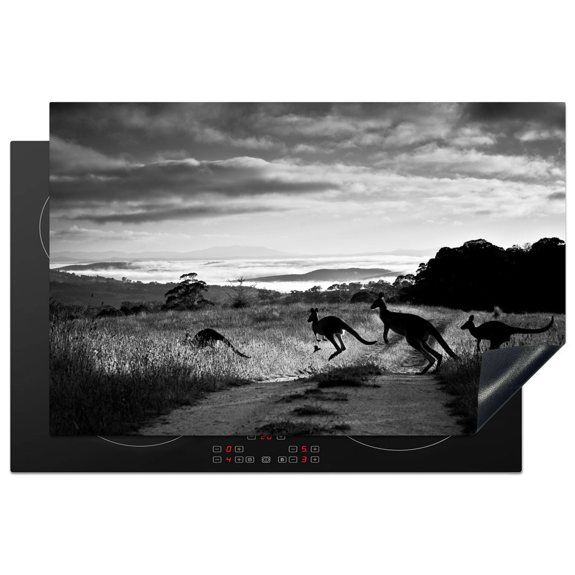 MuchoWow Herdblende-/Abdeckplatte Australien - Tiere - Schwarz - Weiß, Vinyl, (1 tlg), 81x52 cm, Induktionskochfeld Schutz für die küche, Ceranfeldabdeckung