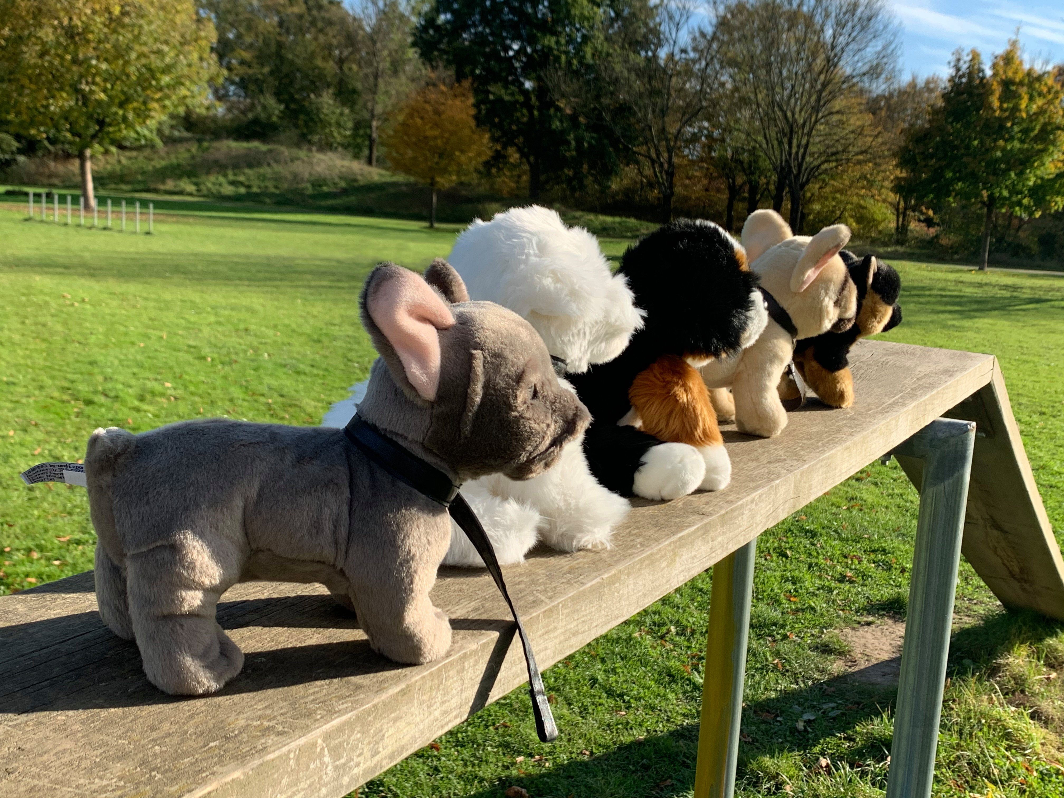 zu m/o Plüsch-Hund, Plüschtier, % Uni-Toys 27cm, recyceltes Bulldogge Kuscheltier beige, Leine, Französische 100 Füllmaterial