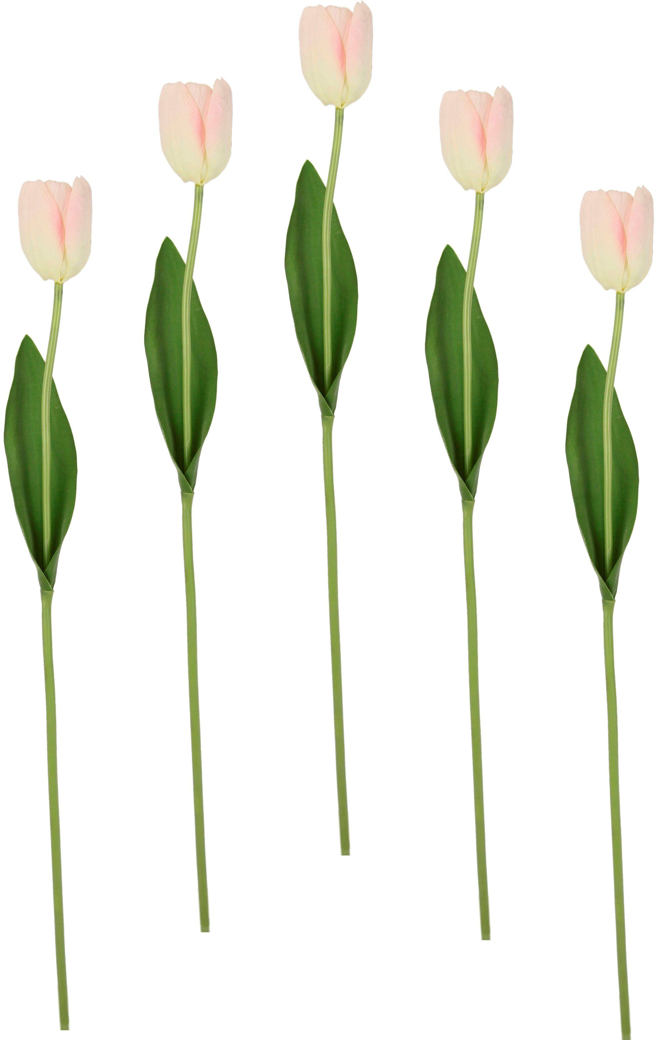 Kunstblume Tulpenknospen, Real Höhe 5er weiß/rosa Set cm, Tulpen, 67 künstliche Touch Stielblume Kunstblumen, I.GE.A.,