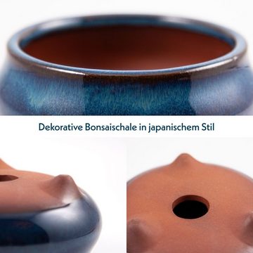 HappySeed Pflanzschale Bonsai Schale aus Keramik in Marineblau - 9,5 x 4,5 x 9,5 cm (klein)