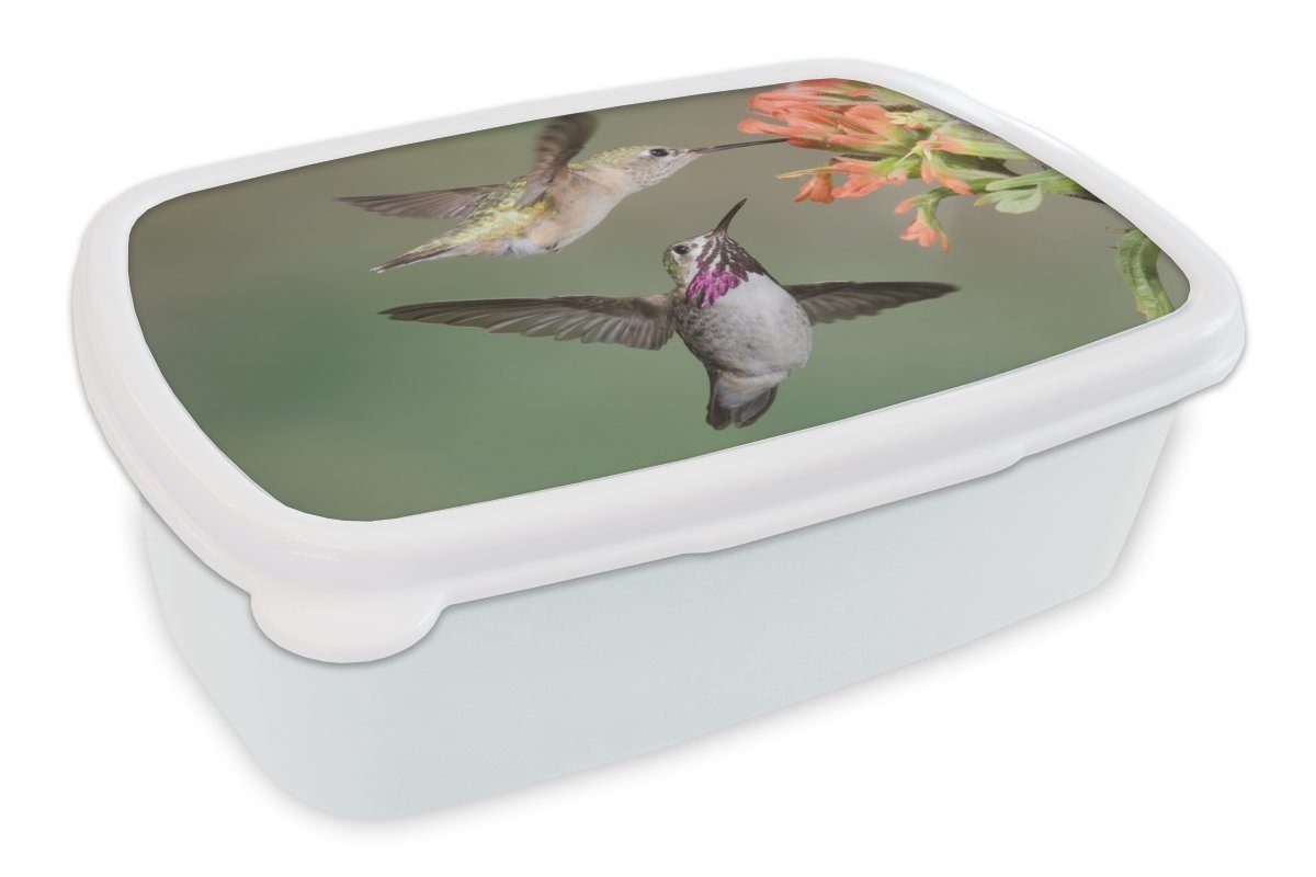MuchoWow Lunchbox Kolibri - Vogel - Blume, Kunststoff, (2-tlg), Brotbox für Kinder und Erwachsene, Brotdose, für Jungs und Mädchen weiß