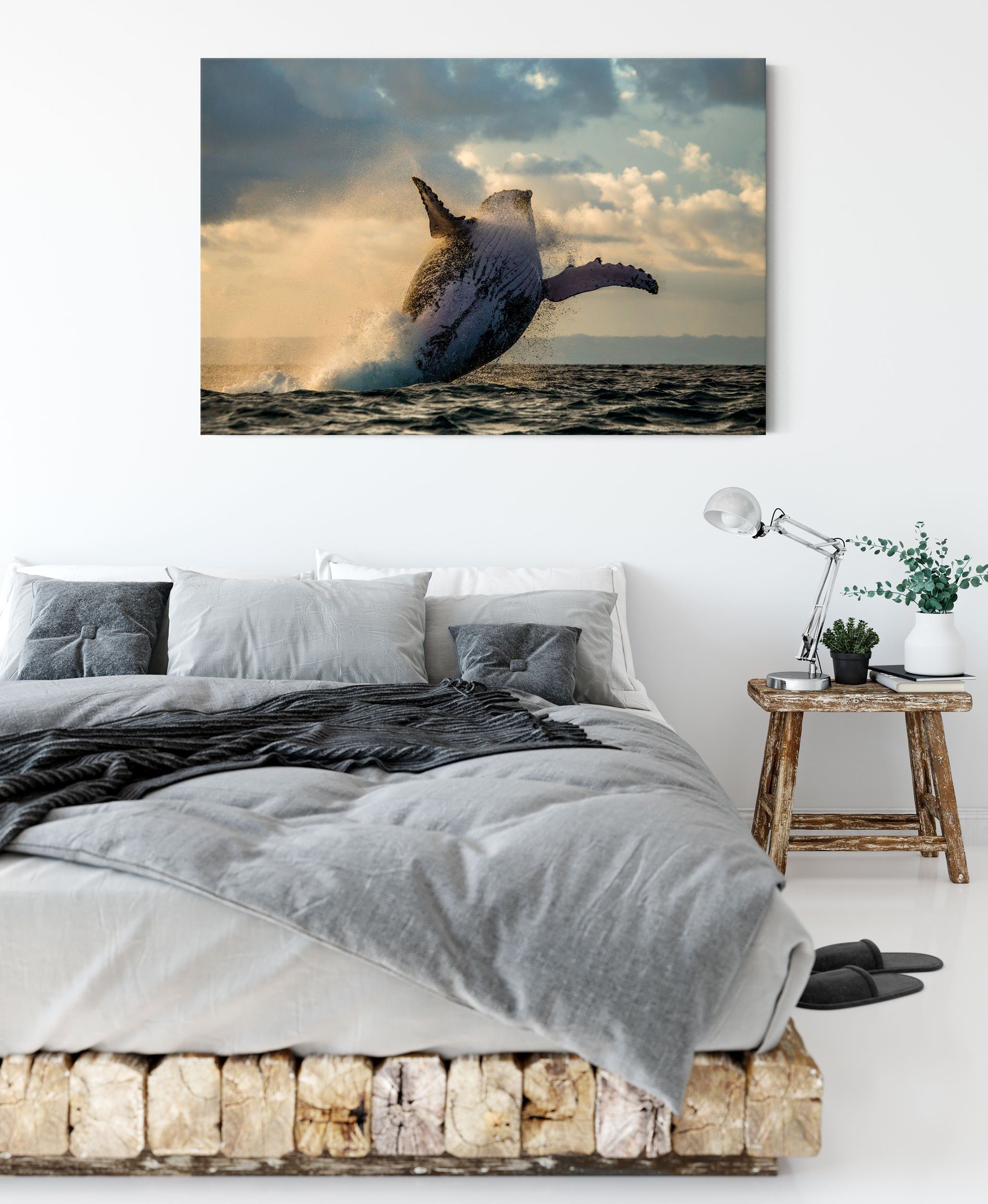 Kanada Zackenaufhänger Buckelwale (1 Kanada, Pixxprint fertig bespannt, Leinwandbild St), inkl. Buckelwale Leinwandbild