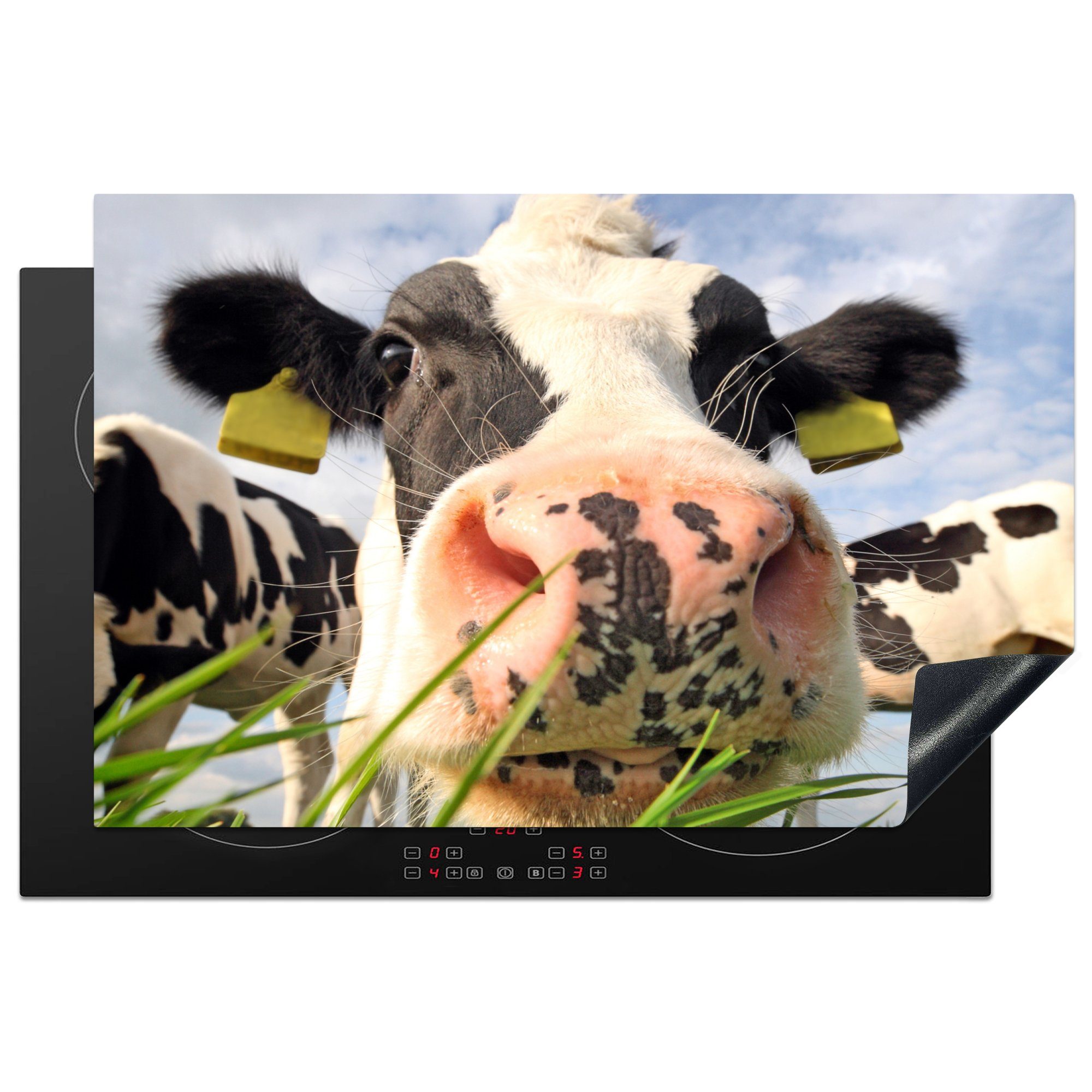Ceranfeldabdeckung, Arbeitsplatte - (1 Gras tlg), Tiere, Bauernhof - Kuh Herdblende-/Abdeckplatte küche 81x52 - cm, Vinyl, für MuchoWow