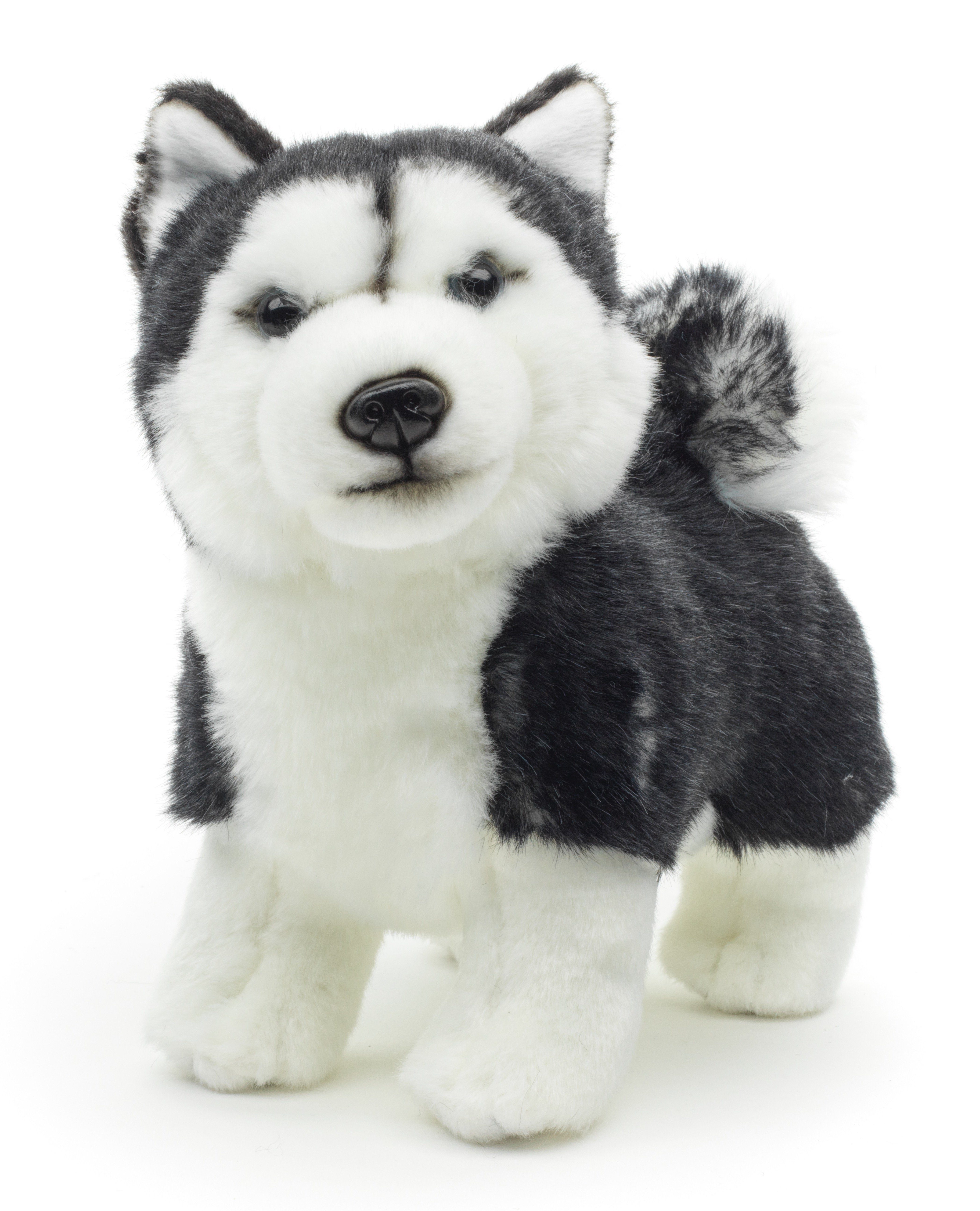 Uni-Toys Kuscheltier Husky Welpe schwarz, % Plüschtier, 100 24 recyceltes - stehend cm Plüsch-Hund, zu - Füllmaterial