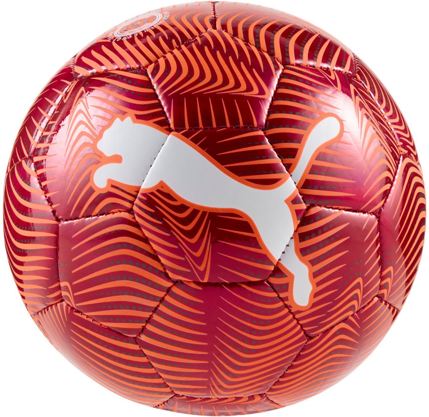 PUMA Fußball PUMA FINAL Graphic miniball PUMA BLACK