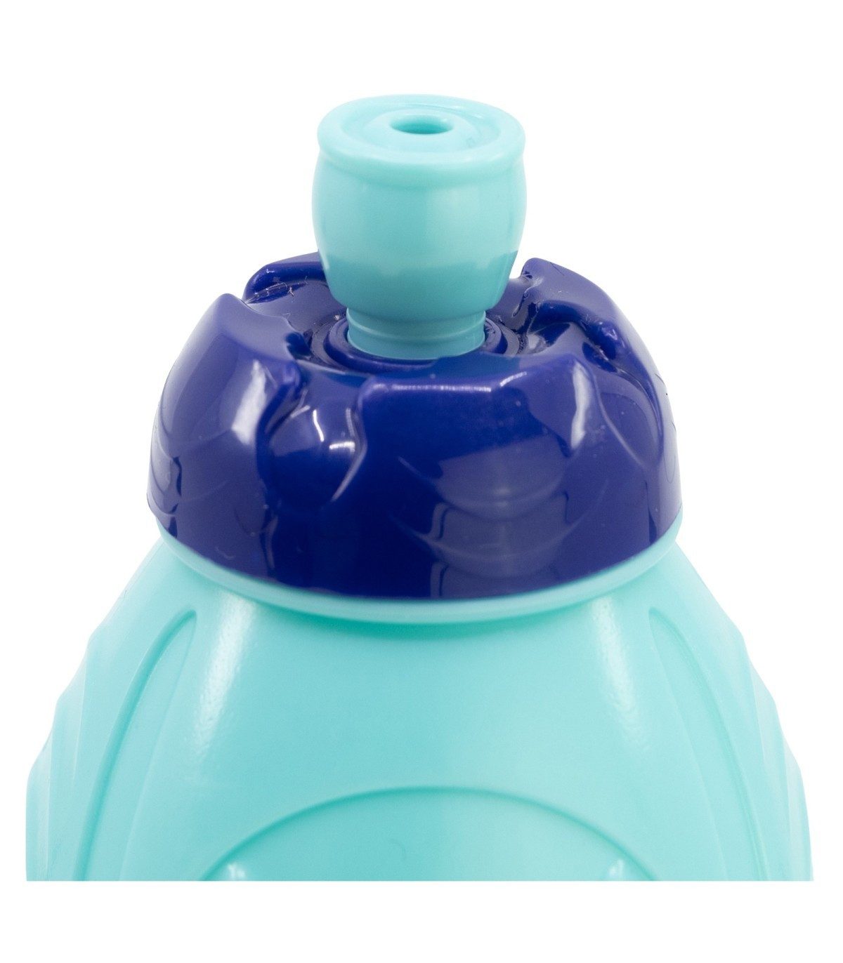 Bluey Trinkflasche Kindertrinkflasche 400 ml für Schule und Freizeit