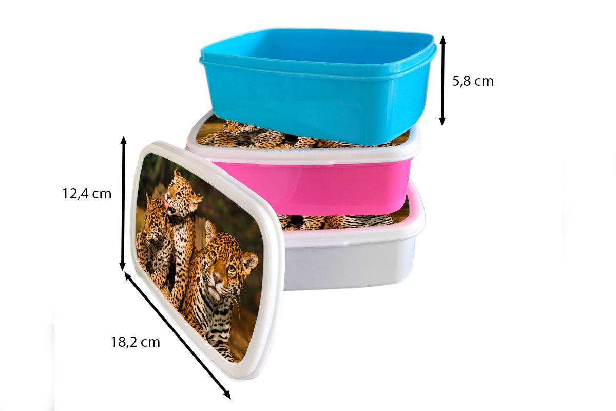 MuchoWow Lunchbox Leopard - Wilde Natur, Brotbox Erwachsene, (2-tlg), und Brotdose, Kunststoff, weiß Kinder für und Tiere Jungs - Mädchen für