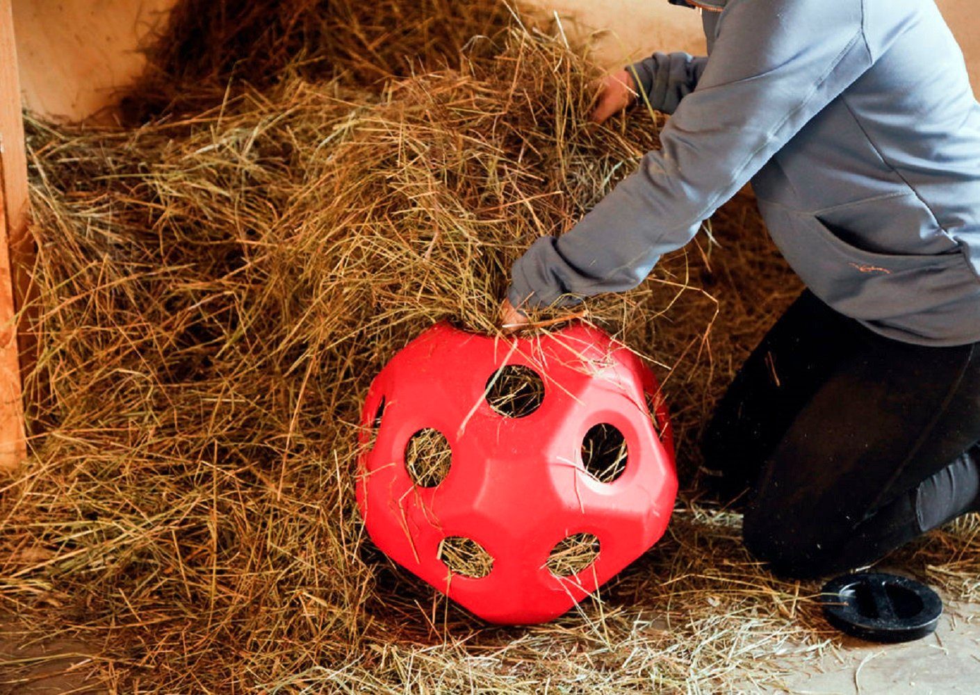 Kerbl Tier-Beschäftigungsspielzeug HeuBoy rot Futterspielball Spielball 70 cm Kerbl 3210386