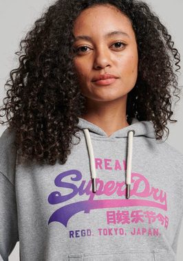 Superdry Kapuzensweatshirt TONAL VL GRAPHIC HOODIE