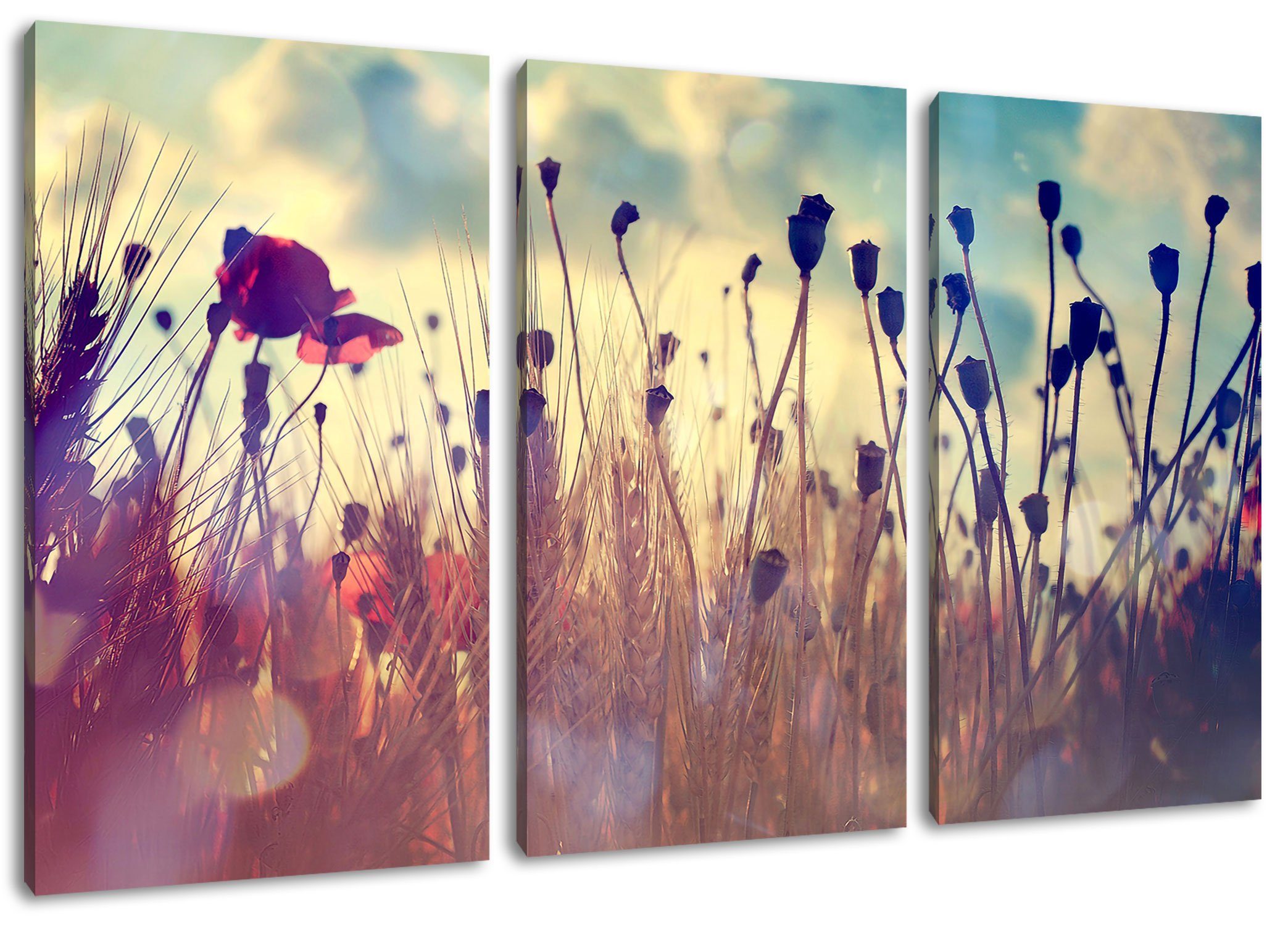 Mohn im Leinwandbild fertig Leinwandbild im inkl. Mohn Zackenaufhänger St), 3Teiler bespannt, Pixxprint Weizenfeld, (1 Weizenfeld (120x80cm)