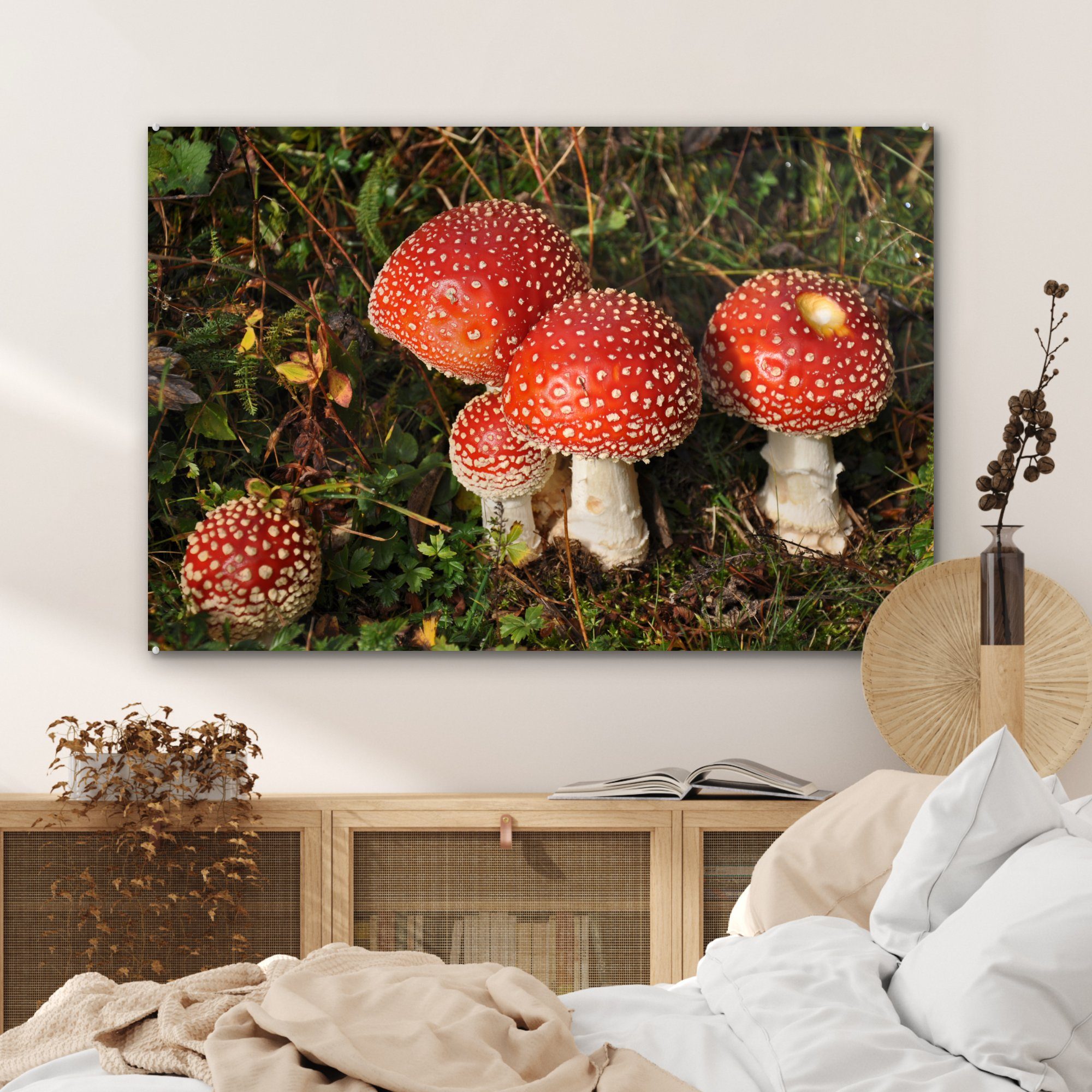 St), Acrylglasbilder MuchoWow Pilze (1 Acrylglasbild Wohnzimmer grünes & Gras, gegen Rote Schlafzimmer