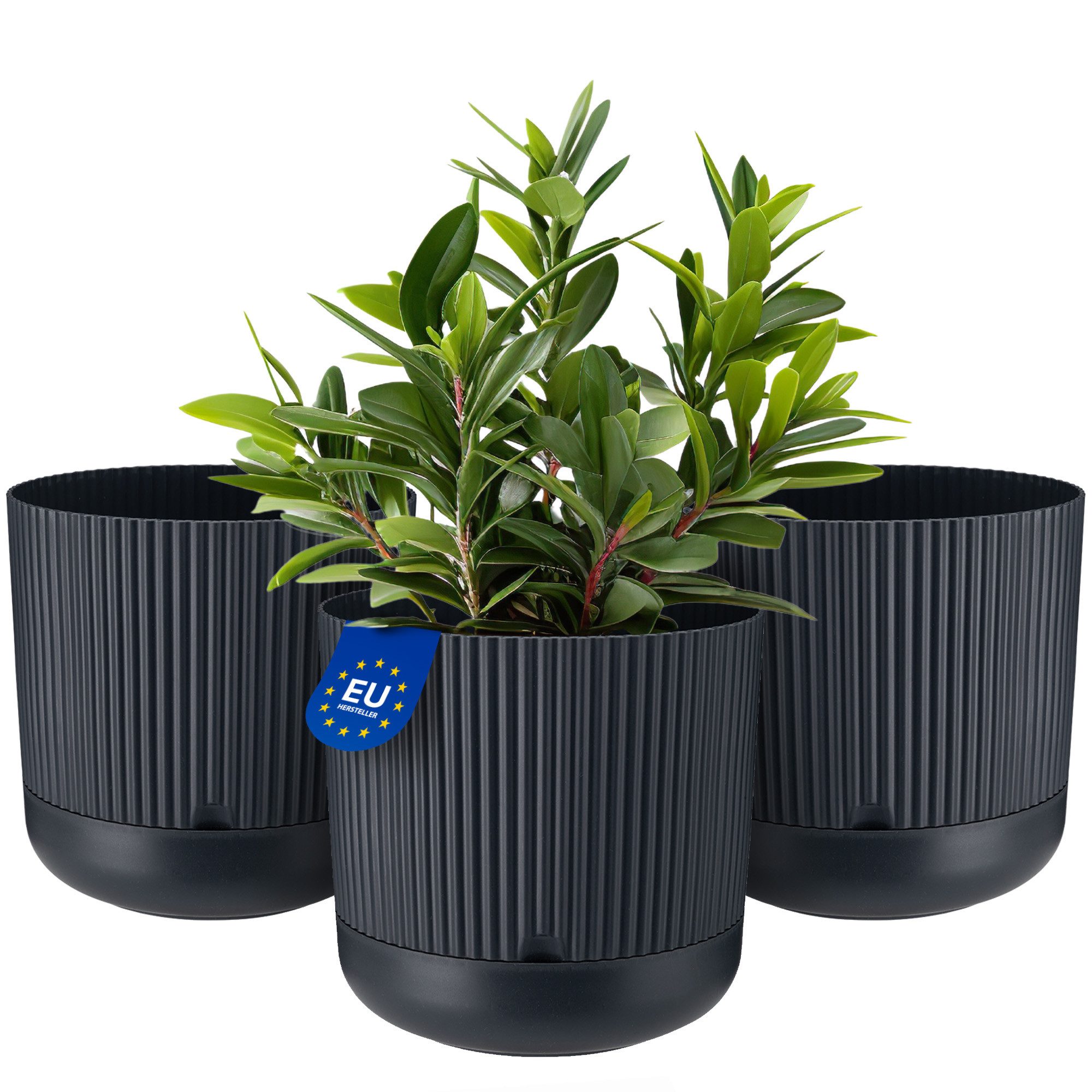 KONZEPT Blumentopf mit Untersetzer, 16 cm günstig online kaufen