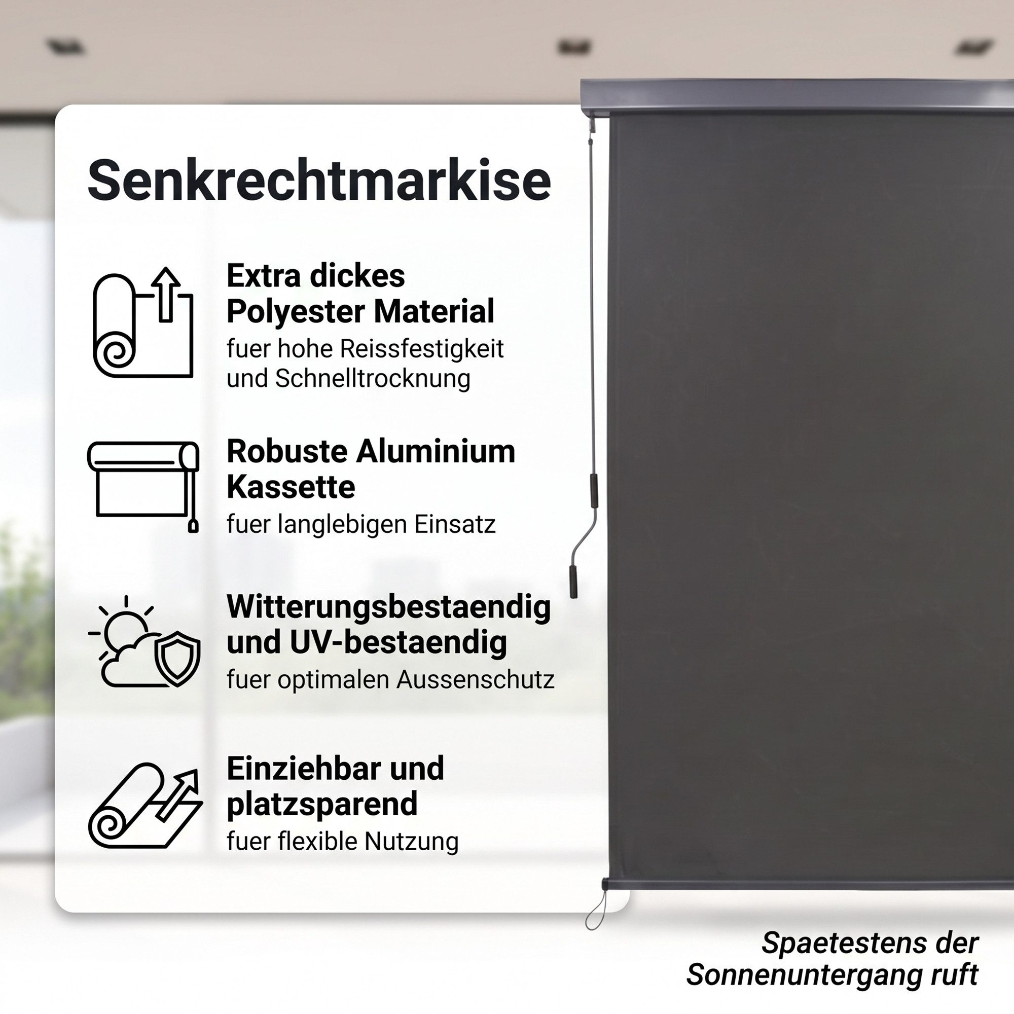 Mucola Senkrechtmarkise Senkrechtmarkise 160x250 cm Markise Seitenmarkise Anthrazit Windschutz (Stück, 1-St., Markise) Wasserdicht und windbeständig