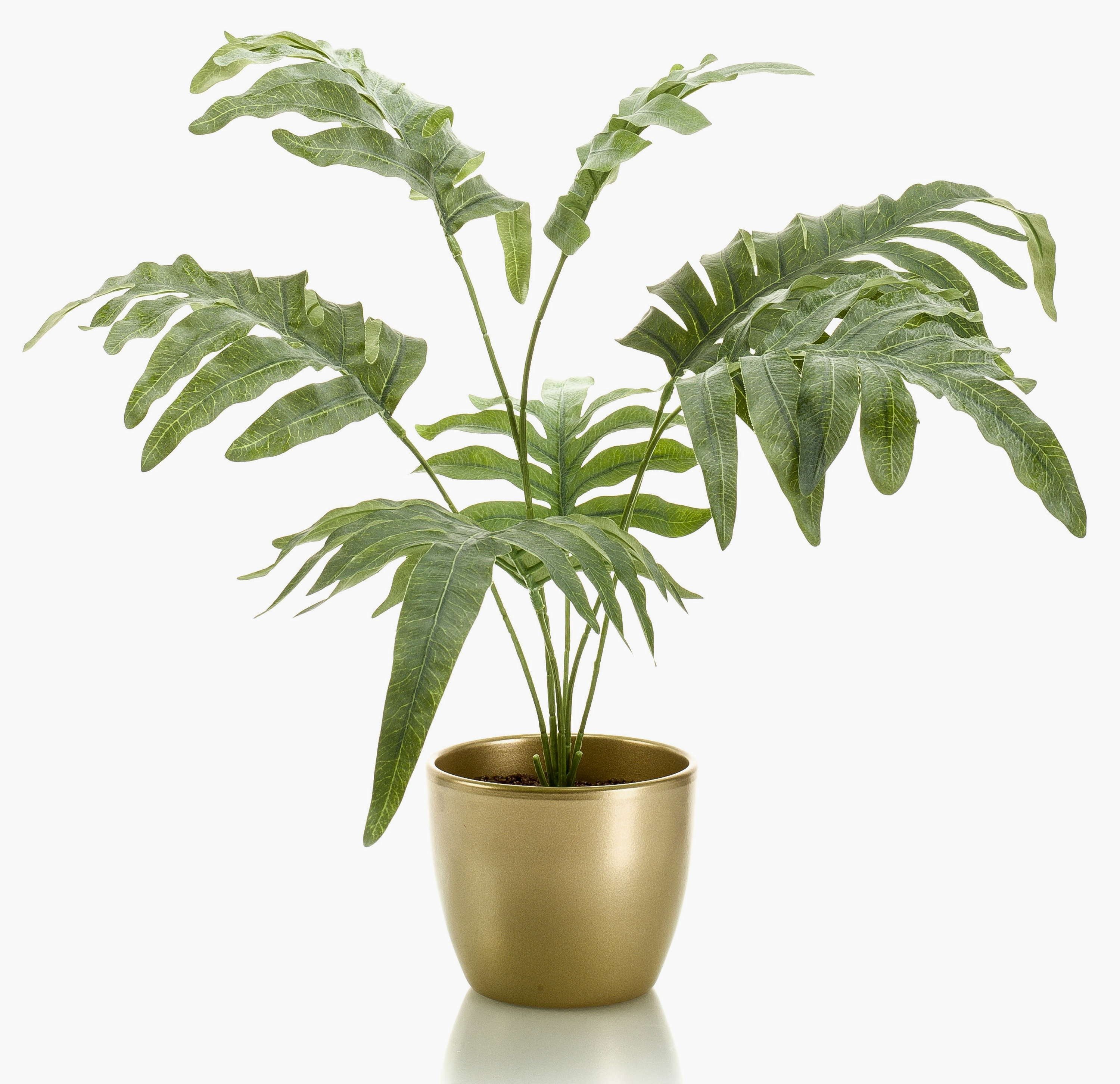 Künstliche Zimmerpflanze Künstlicher Goldtüpfelfarn SCORPI im Keramiktopf Gold, grün-grau, 65cm Farn (Goldtüpfelfarn), artplants, Höhe 65.0 cm