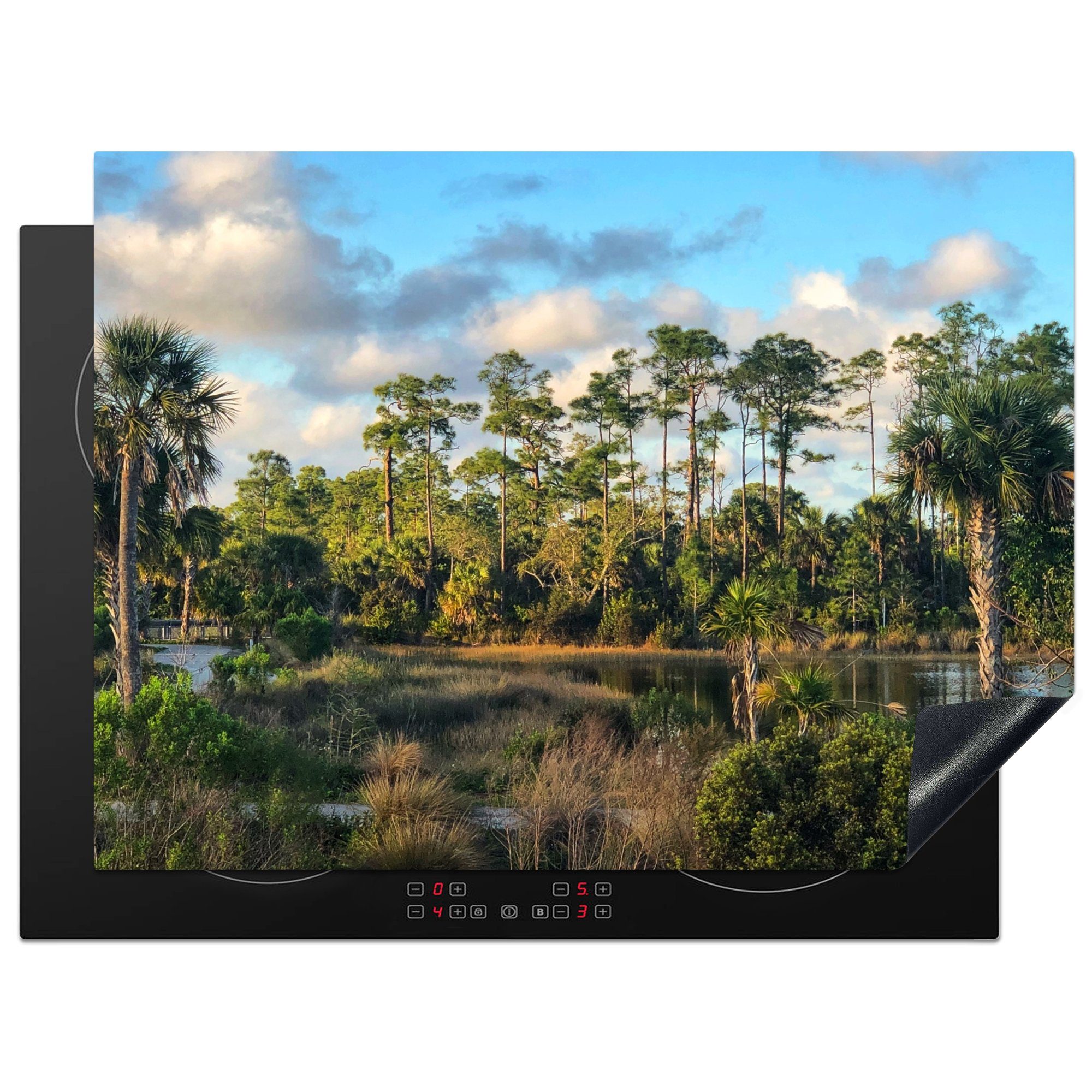 MuchoWow Herdblende-/Abdeckplatte Wald in Florida, Vinyl, (1 tlg), 70x52 cm, Mobile Arbeitsfläche nutzbar, Ceranfeldabdeckung