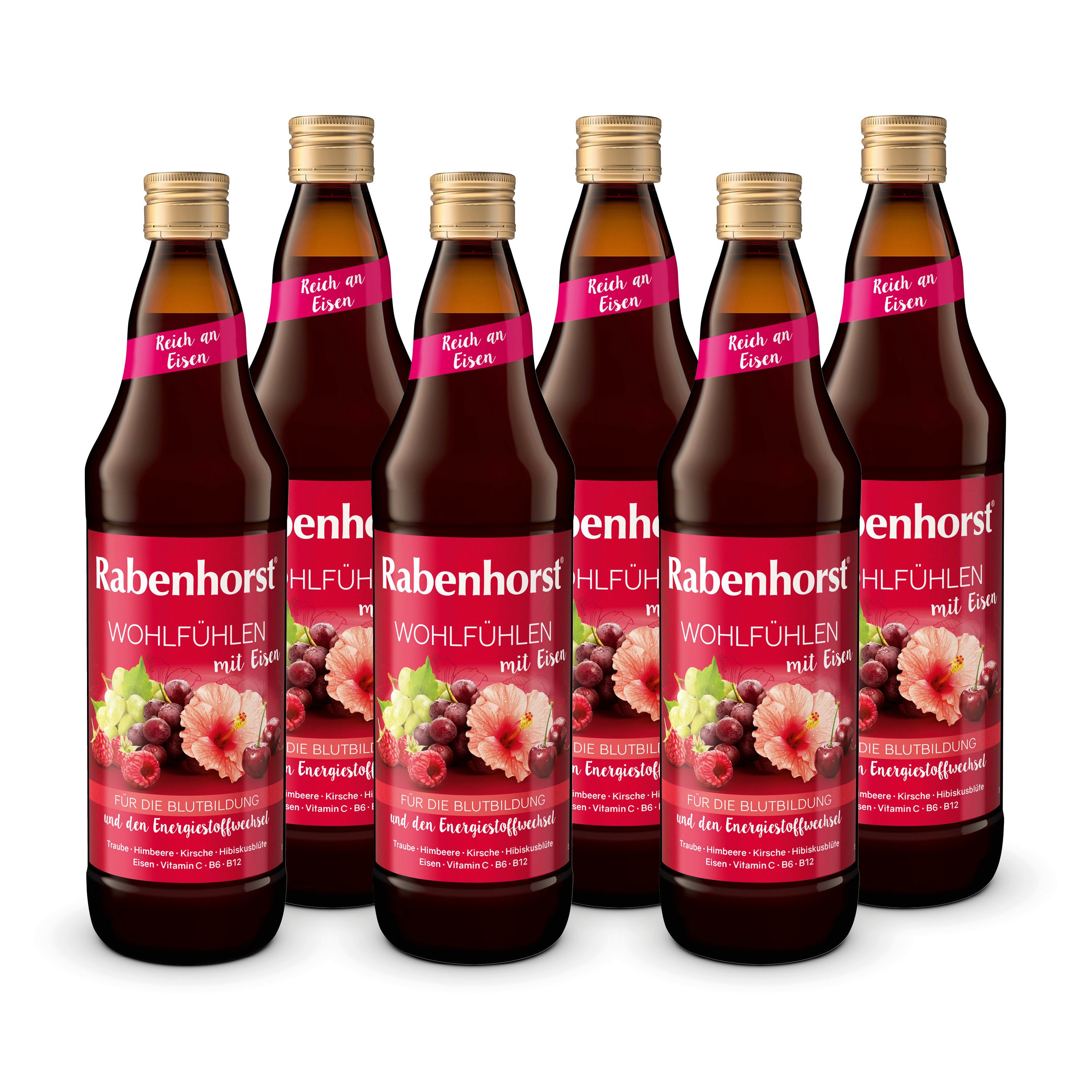 Haus Rabenhorst Saft RABENHORST Wohlfühlen mit Eisen 6er Pack (6 x 700 ml), 0,7 l
