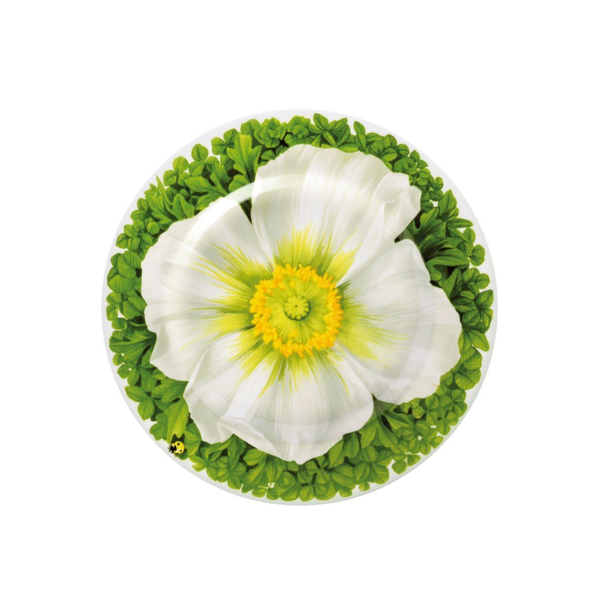 TAITÙ Teller Prati Italiani