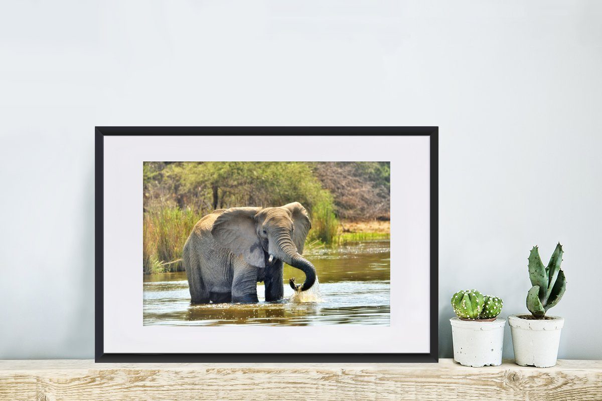 Natur, Rahmen, Gerahmtes Kunstdruck, Bilderrahmen - Wasser Poster Poster, Elefant Tiere - St), mit Schwarzem MuchoWow - (1