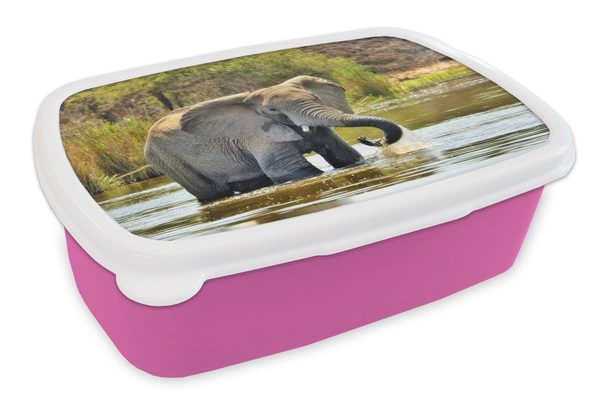 MuchoWow Lunchbox Elefant - Wasser - Tiere - Natur, Kunststoff, (2-tlg), Brotbox für Erwachsene, Brotdose Kinder, Snackbox, Mädchen, Kunststoff rosa
