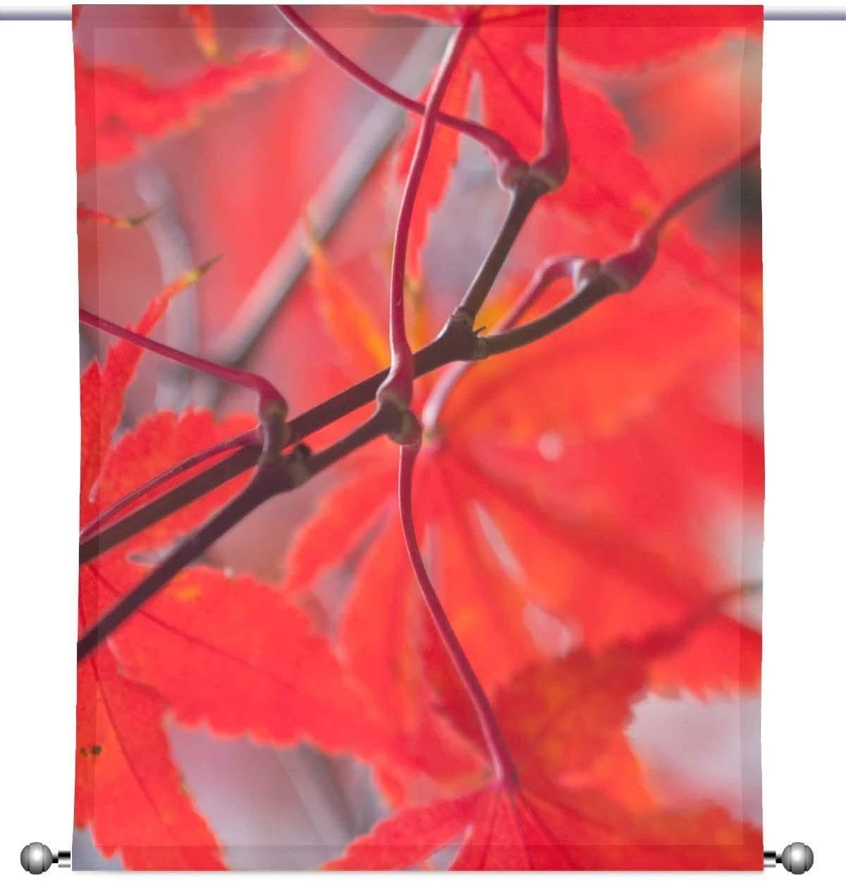 Scheibengardine Scheibenhänger Herbsttraum rechteckig mit Beschwerung, gardinen-for-life