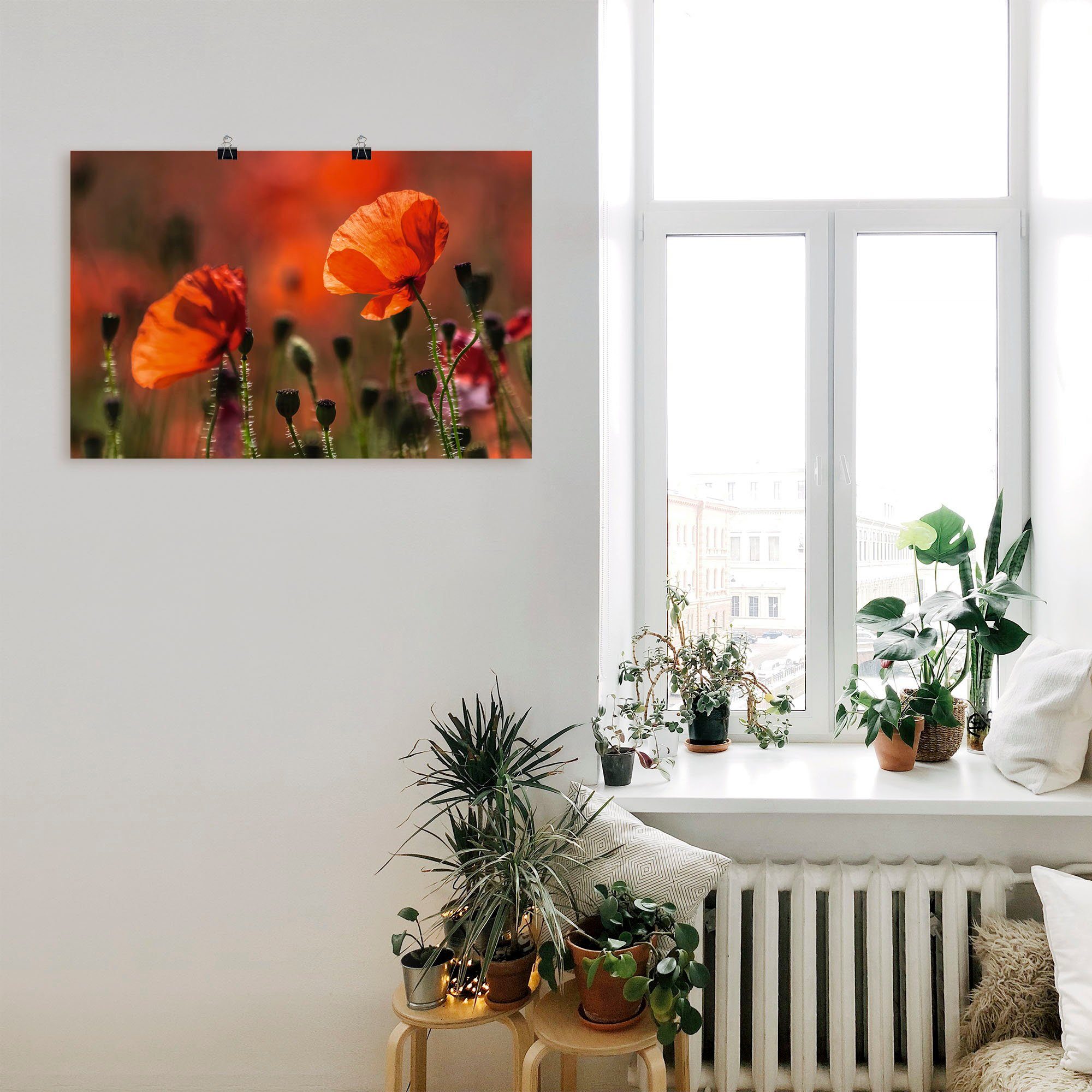 Rote als versch. Artland (1 Größen Leinwandbild, Provence, Wandaufkleber Wandbild in Alubild, St), Blumenbilder der oder Poster Mohnblumen in