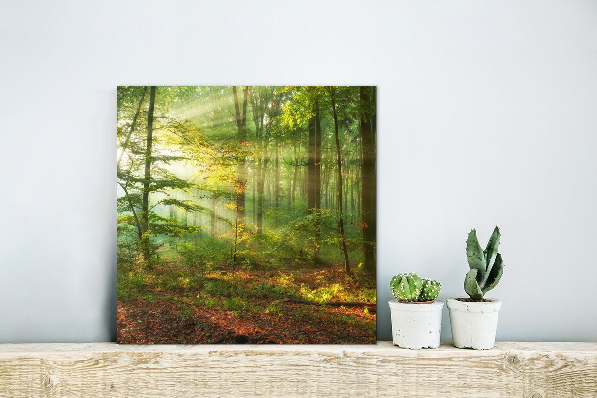 MuchoWow Metallbild Sonne - Herbst, deko (1 Gemälde - aus Aluminium St), - Bäume Metall, Wald Natur - Alu-Dibond-Druck