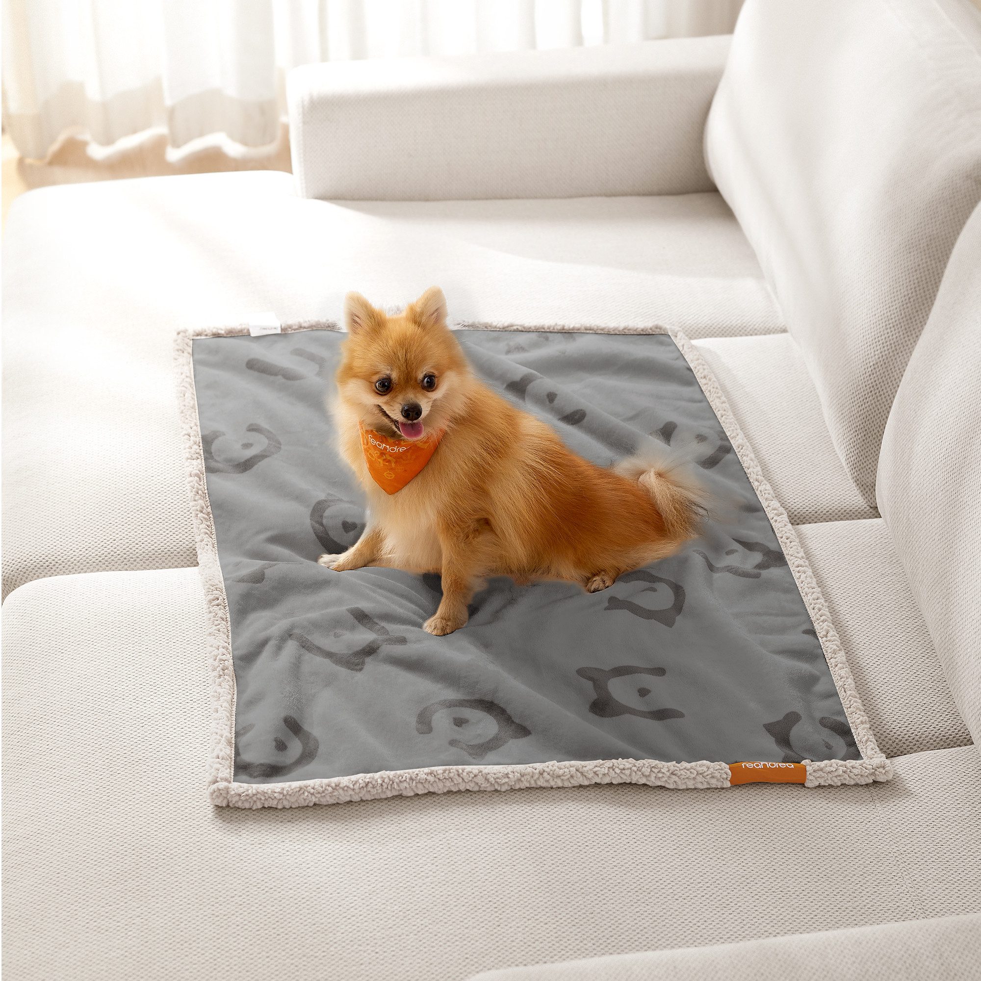 FEANDREA Tierdecke Wasserdichte Hundedecke, Haustier Decke, beidseitiger Sofabezug-Schutz, Sherpa TPU-Folie Flanell, Miniatur und kleine Hunde, Katzen, 101 x 73 cm, M, maschinenwaschbar