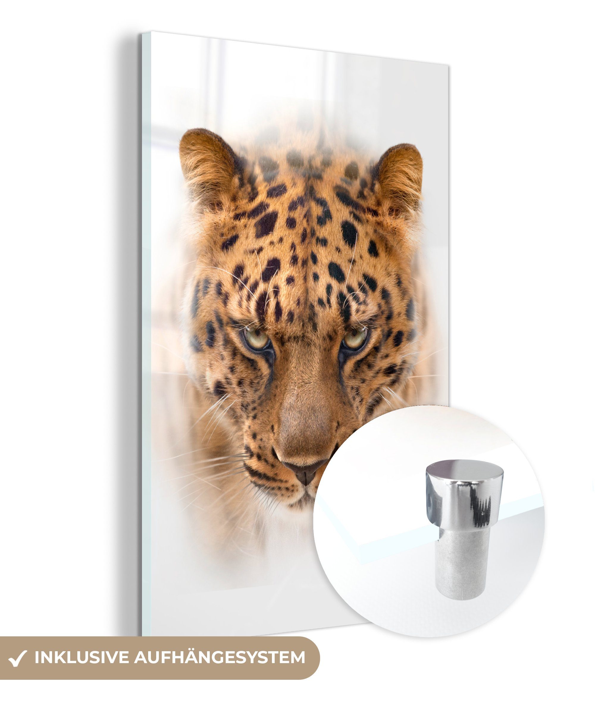 MuchoWow Acrylglasbild Leopard - Kopf - Weiß, (1 St), Glasbilder - Bilder auf Glas Wandbild - Foto auf Glas - Wanddekoration | Bilder