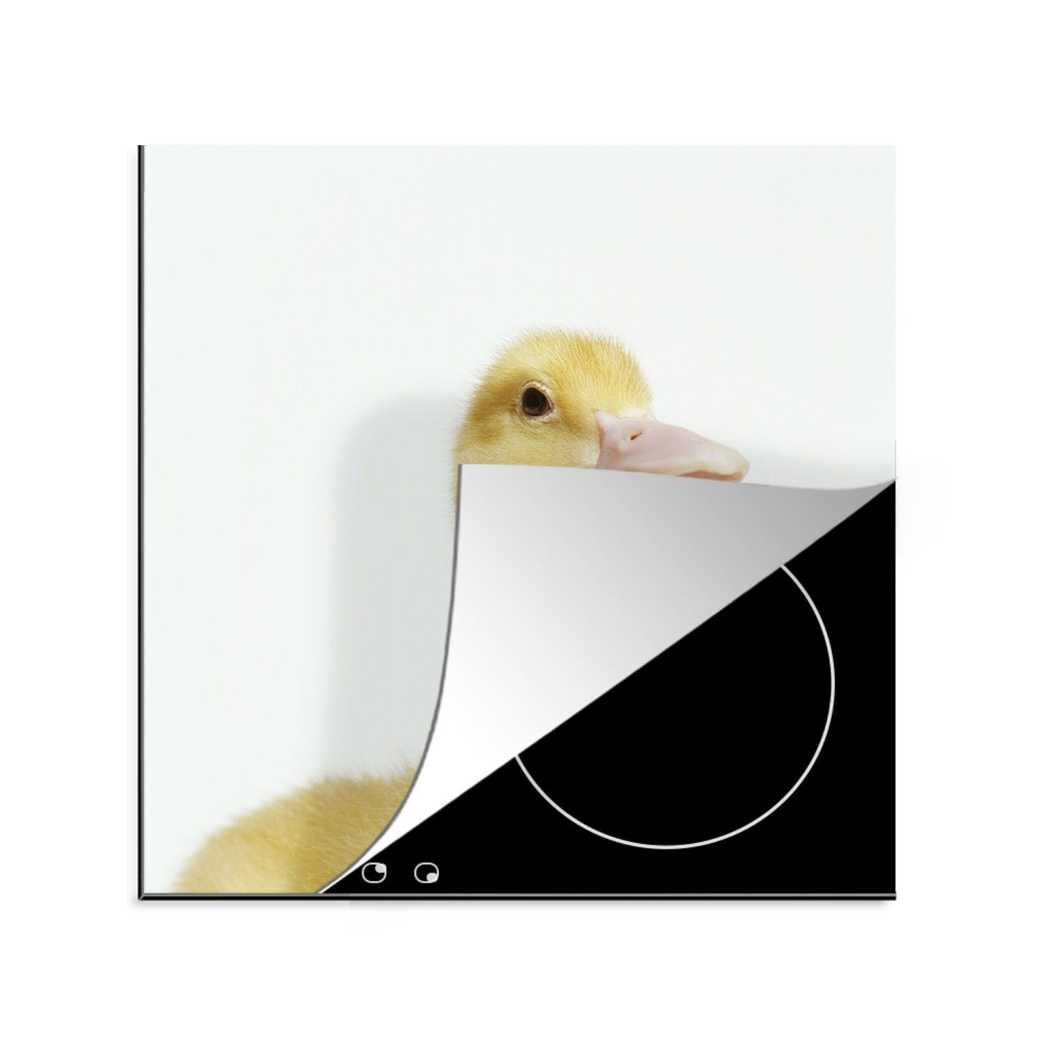 MuchoWow Herdblende-/Abdeckplatte Porträt eines Entenbabys, Vinyl, (1 tlg), 78x78 cm, Ceranfeldabdeckung, Arbeitsplatte für küche